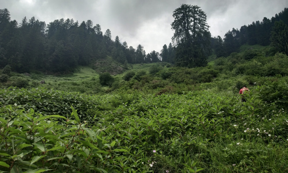 Why The Most Popular Monsoon Trek Of India Needs A Reality Check