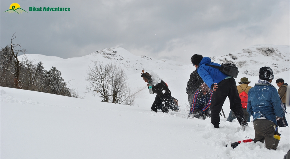 Dayara Bugyal : How I Met The Mountains!