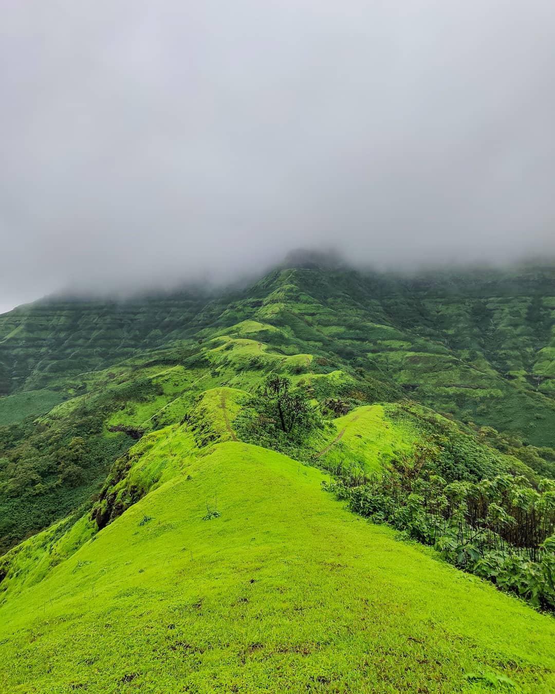 Instagram photo contest (South India edition) Nominations 2019