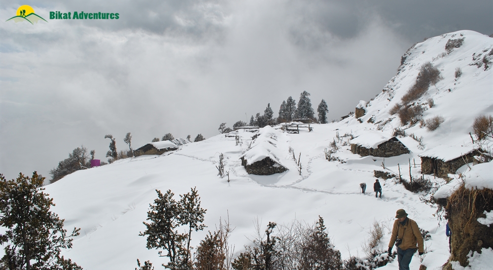 Dayara Bugyal Trek - Short Escape For A Long Weekend 