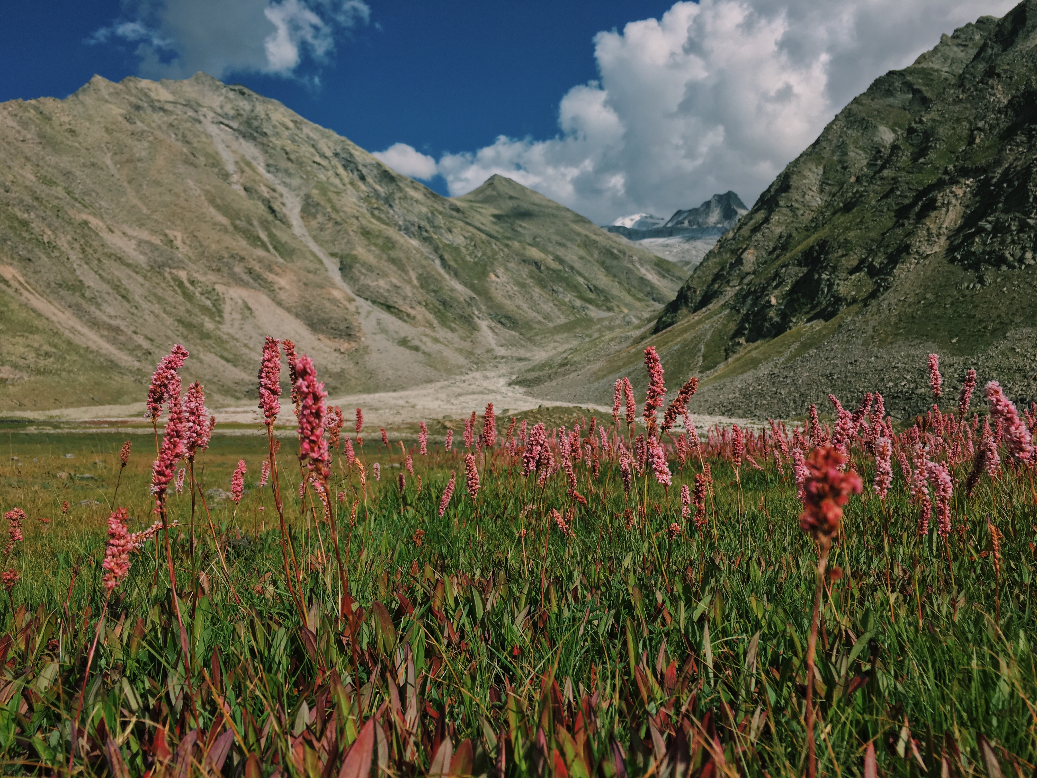 Offbeat Treks Near Manali 