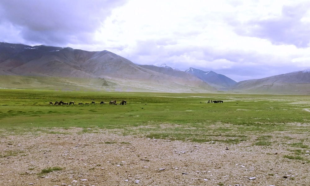 Ladakh's 6 Passes Trek Photo Story