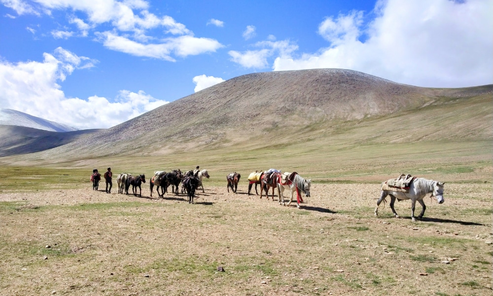 Ladakh's 6 Passes Trek Photo Story