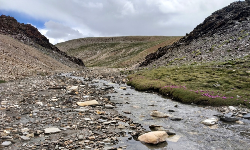 Ladakh's 6 Passes Trek Photo Story