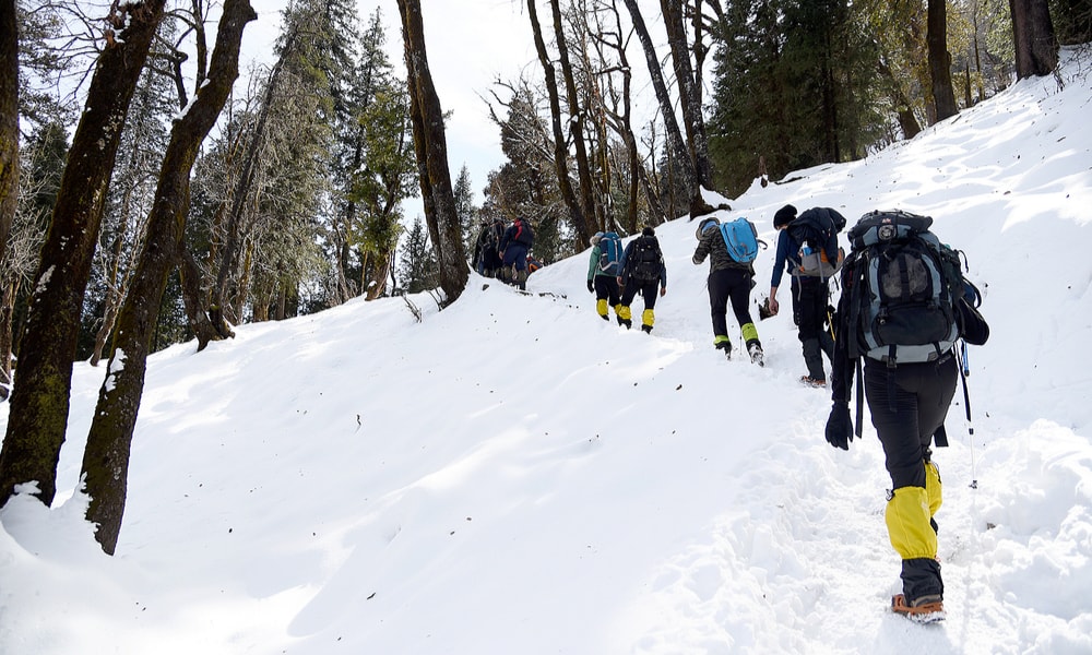 Why You Must Do A Winter Trek At Least Once In Your Life