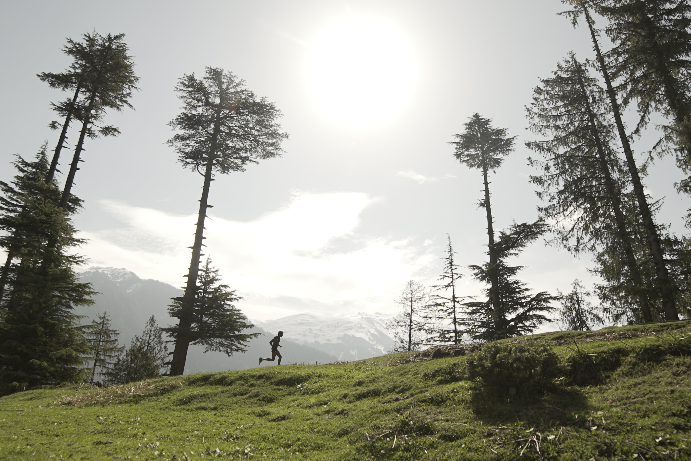 Trail-Running 101