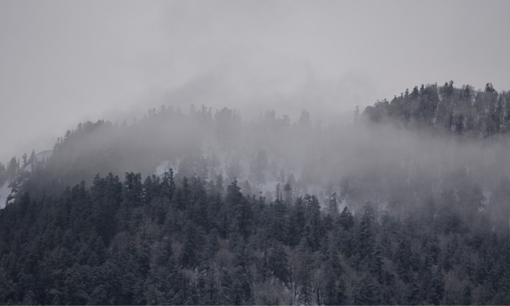Trekking in Winter: 5 Essential Tips