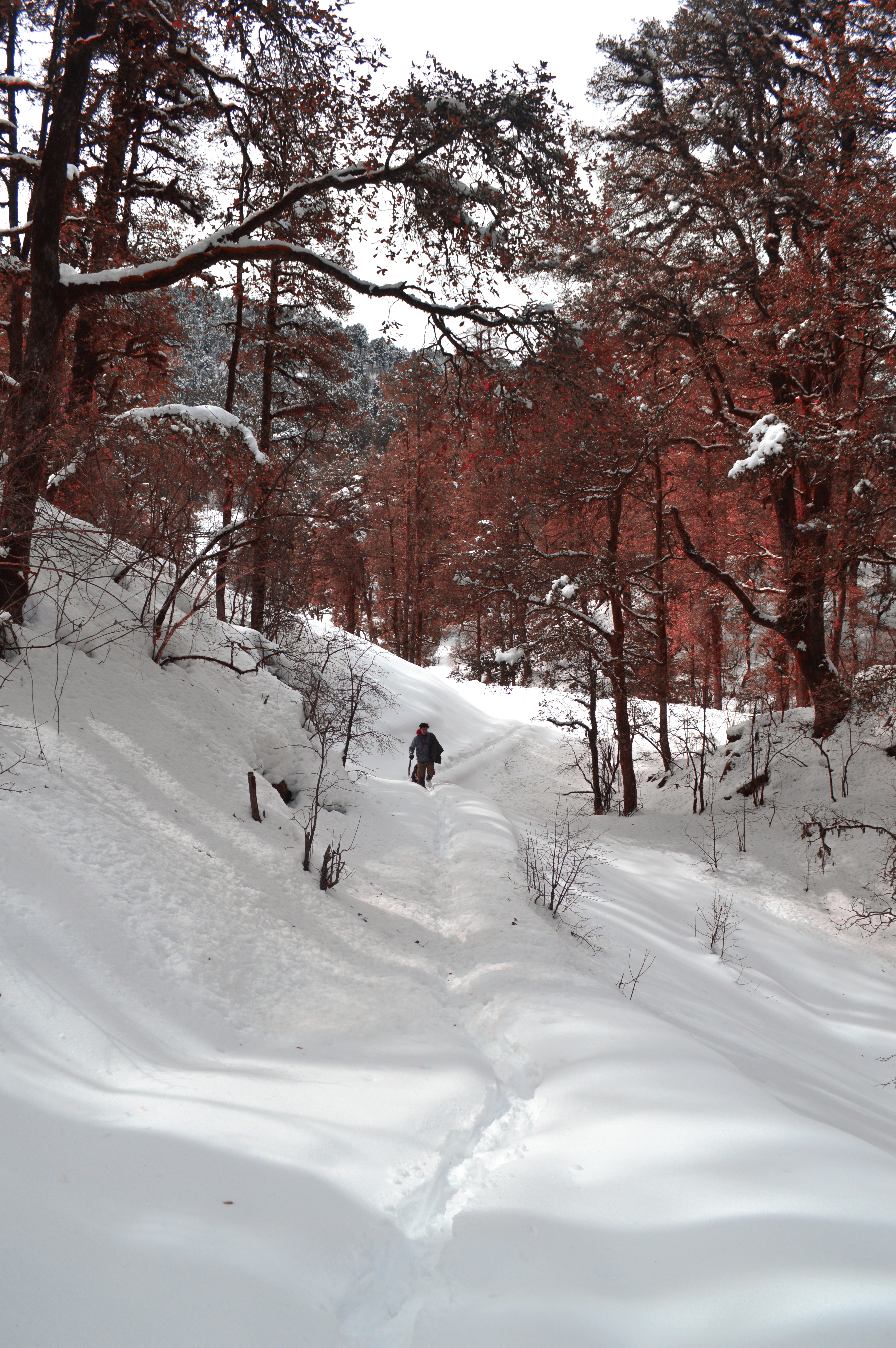 Instagram Photo Contest - Winter Treks Edition Nominations