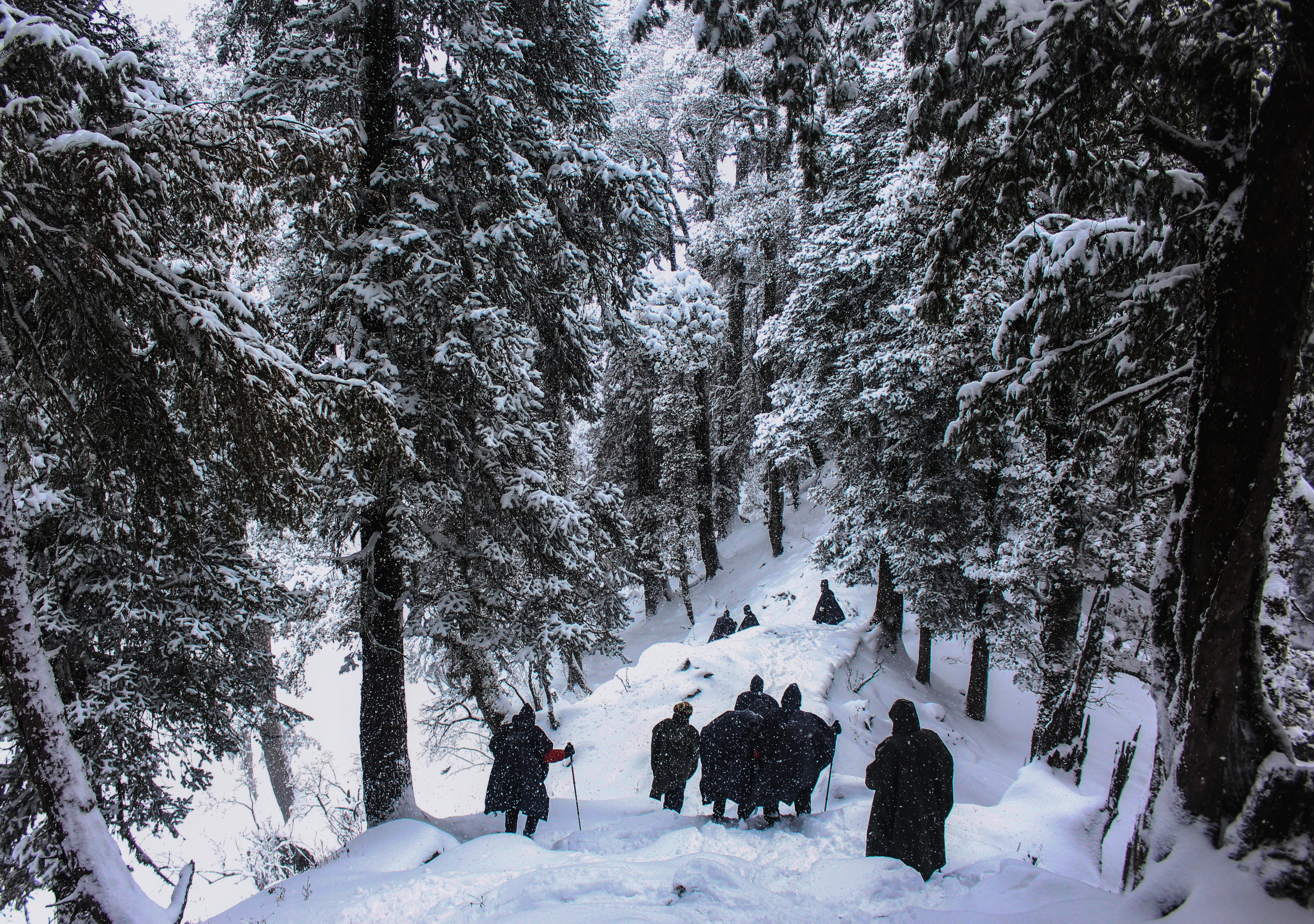 Instagram Photo Contest - Winter Treks Edition Nominations