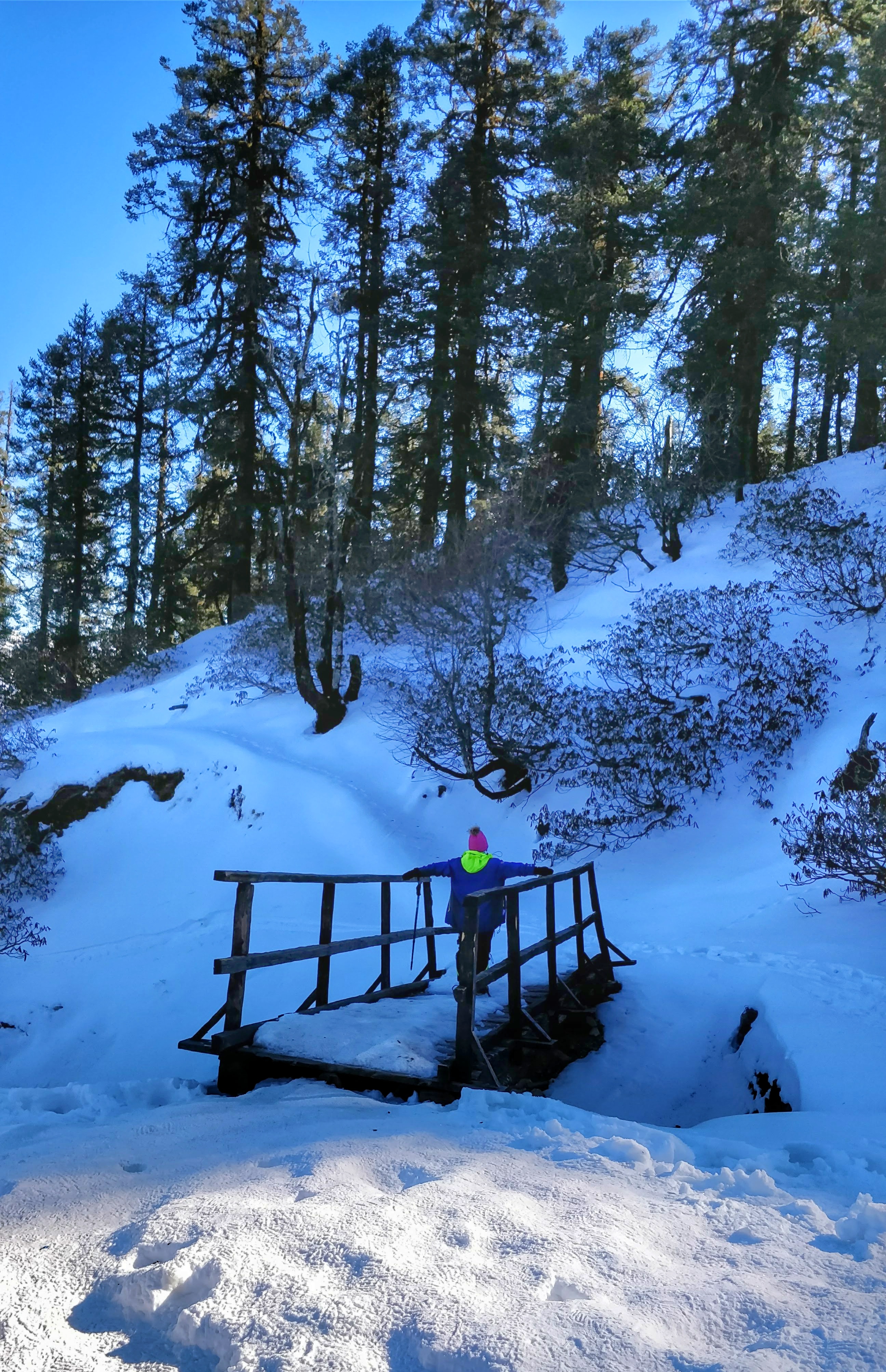 Instagram Photo Contest - Winter Treks Edition Nominations