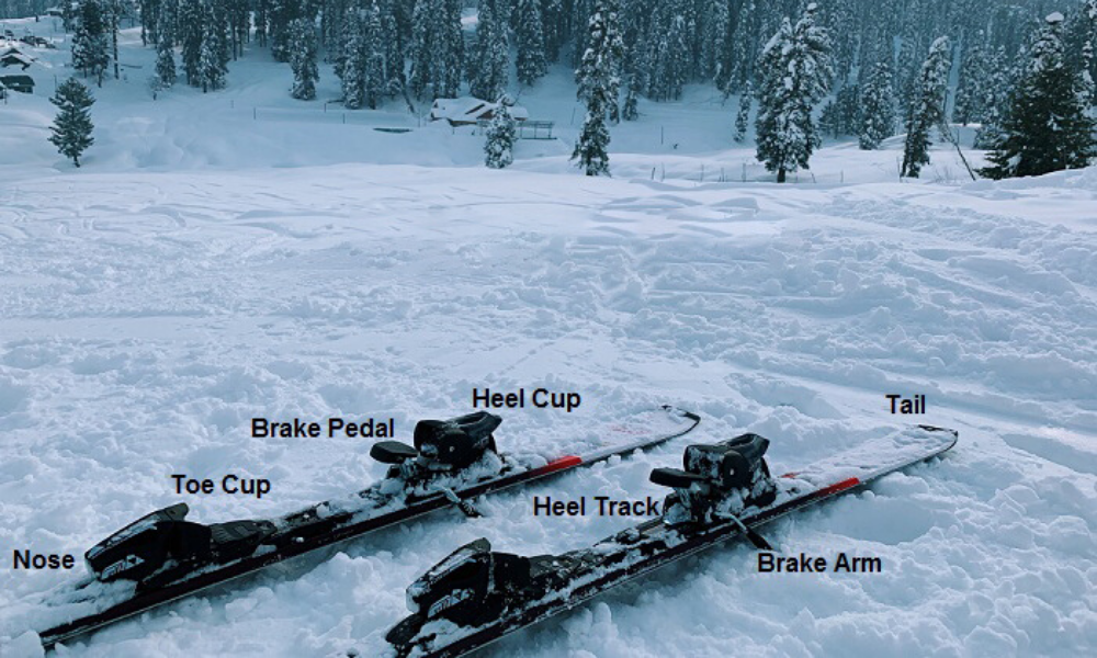 A Guide to Skiing in Gulmarg: Frequently Asked Questions