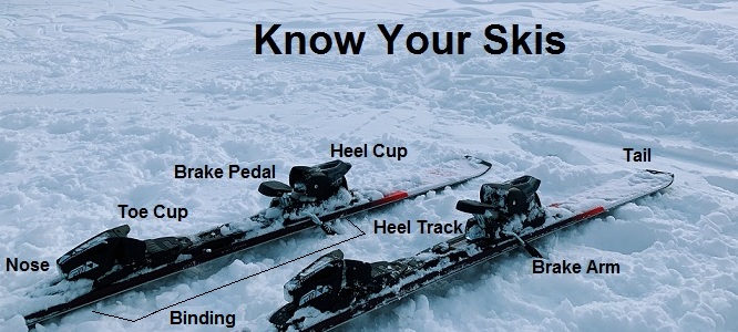 All You Need to Know Before You Take Up Skiing This Winter