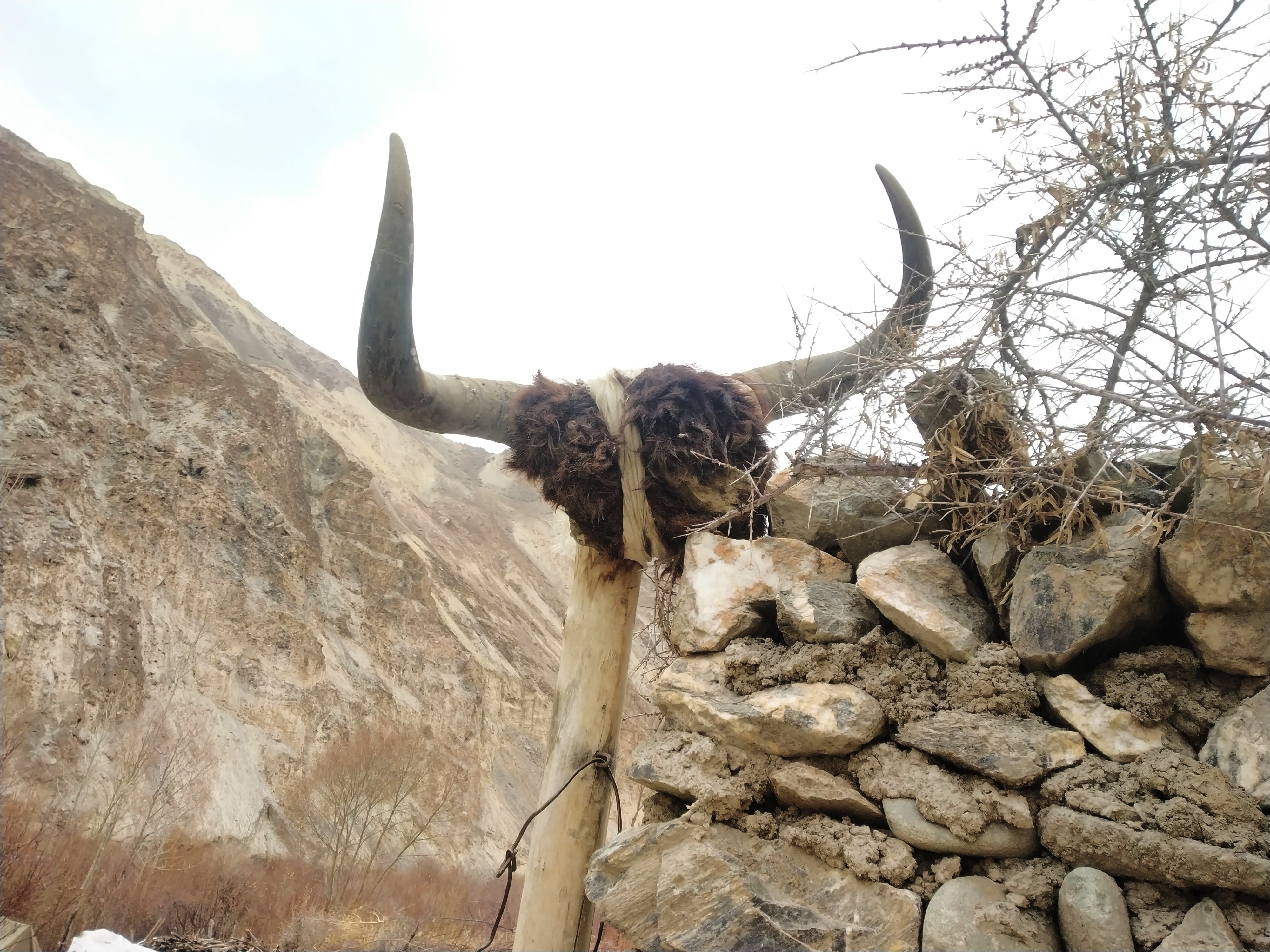 A Visual Ode To Markha Valley Winter Trek