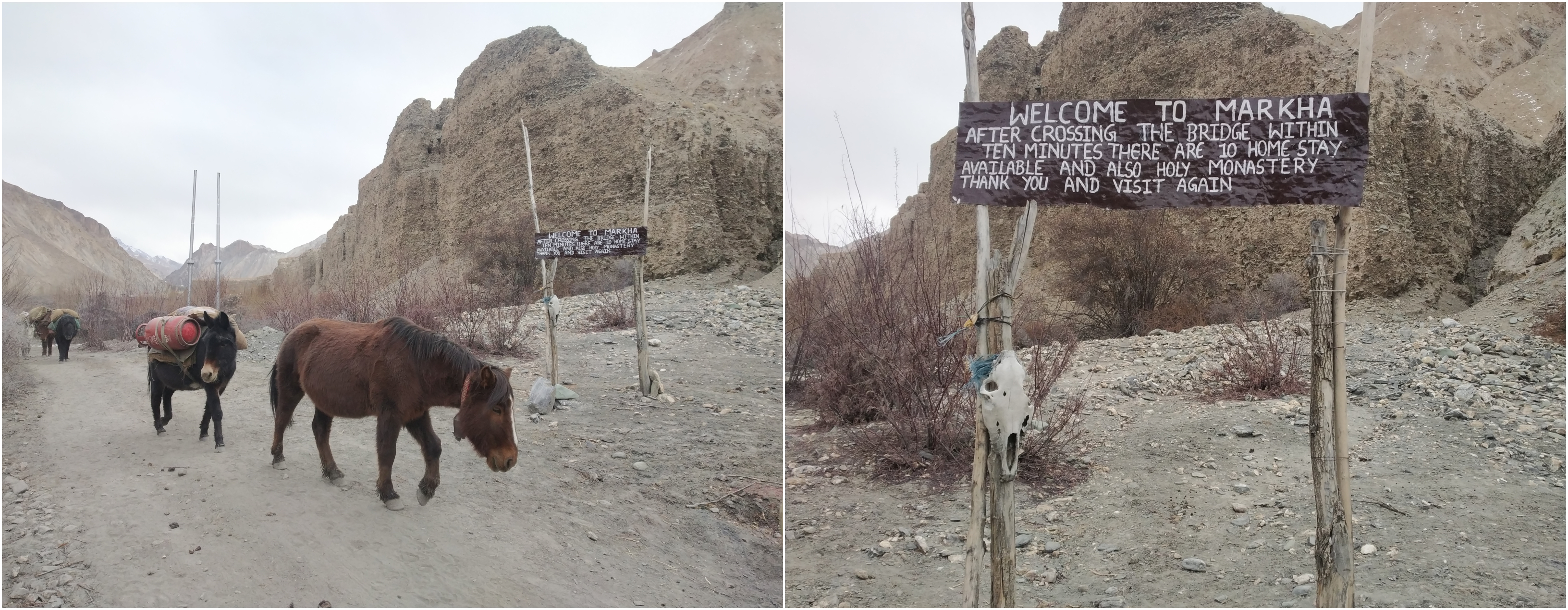 A Visual Ode To Markha Valley Winter Trek