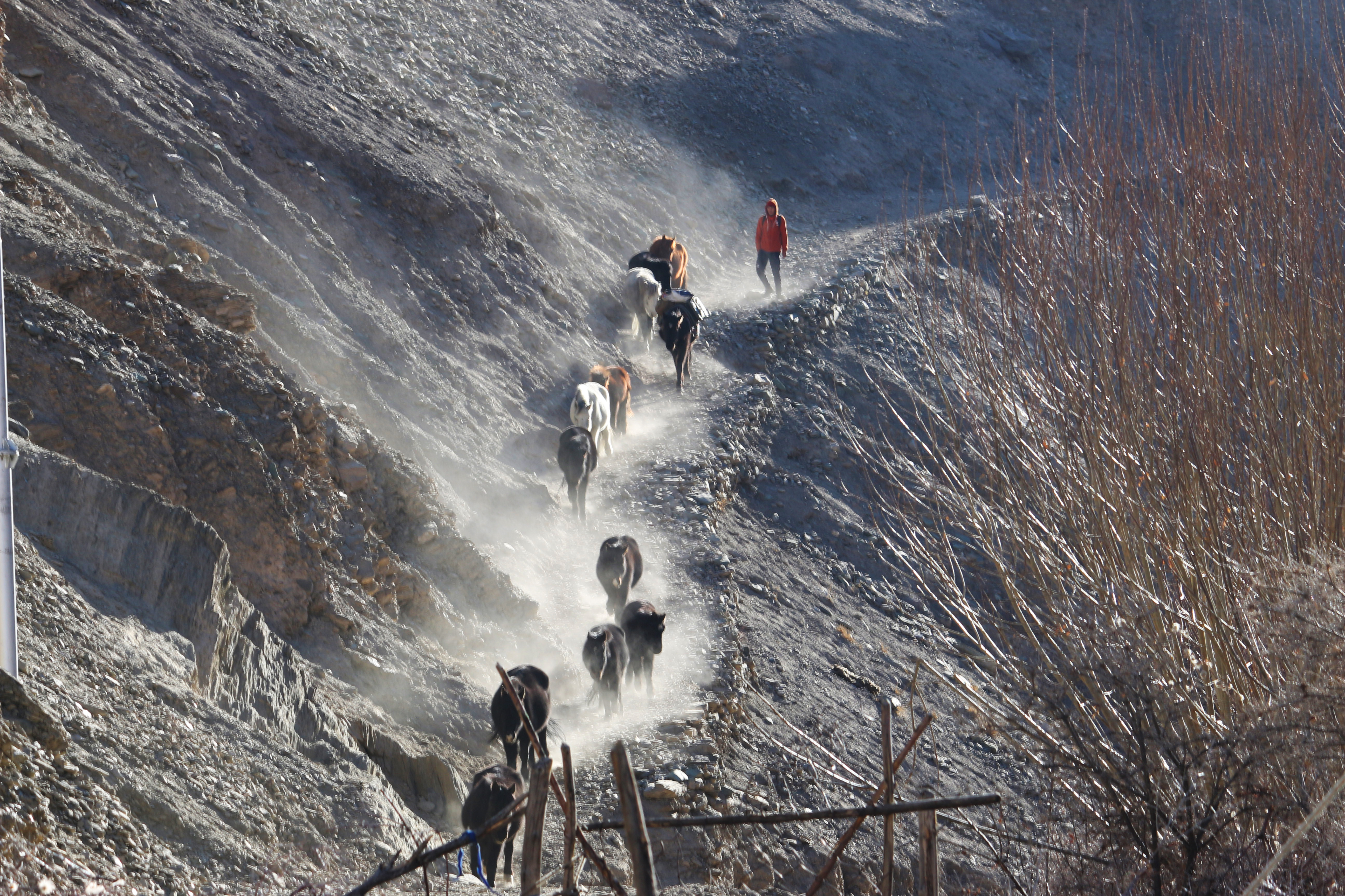 A Visual Ode To Markha Valley Winter Trek