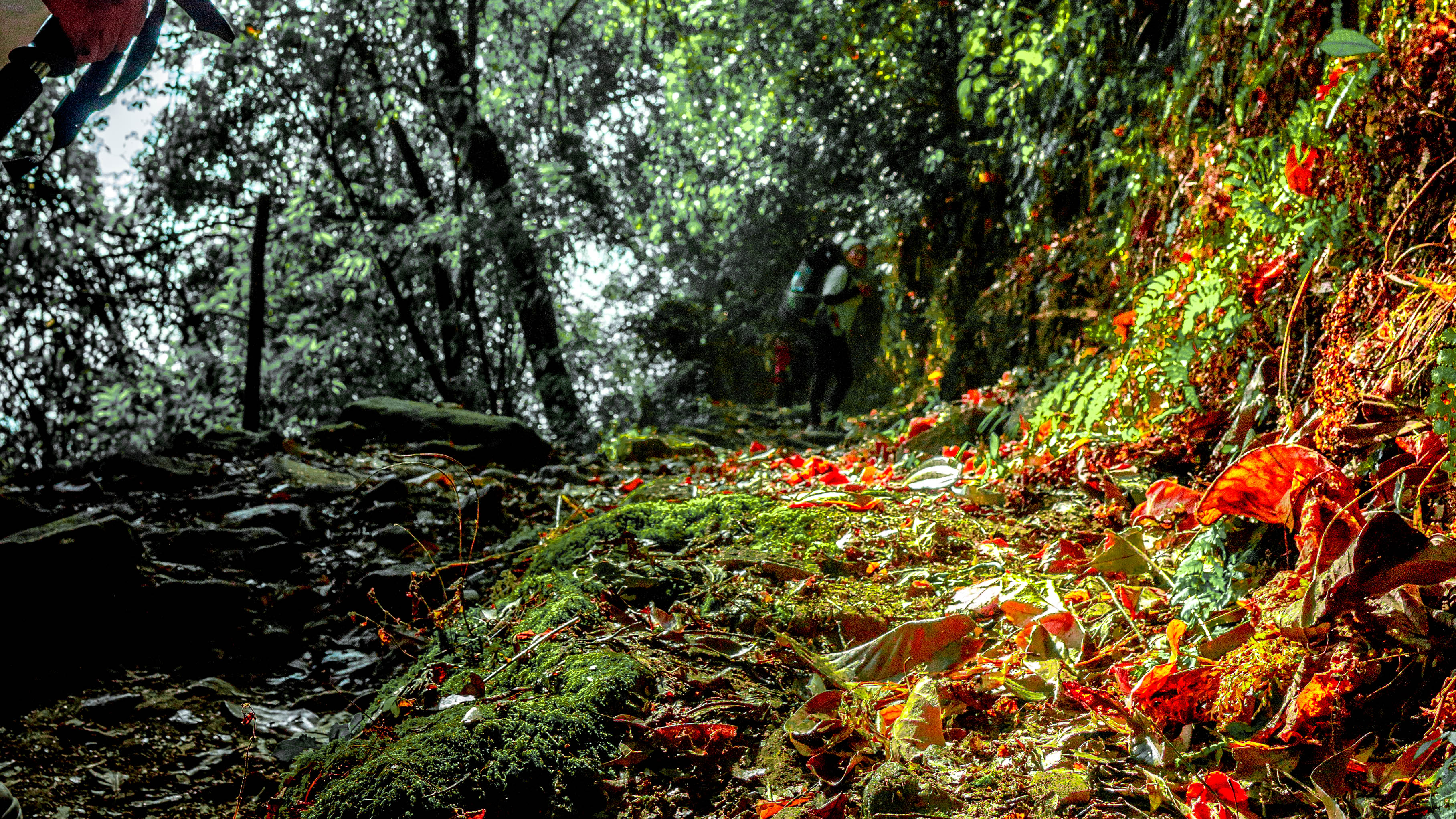 Highlights Of The Goechala Trek