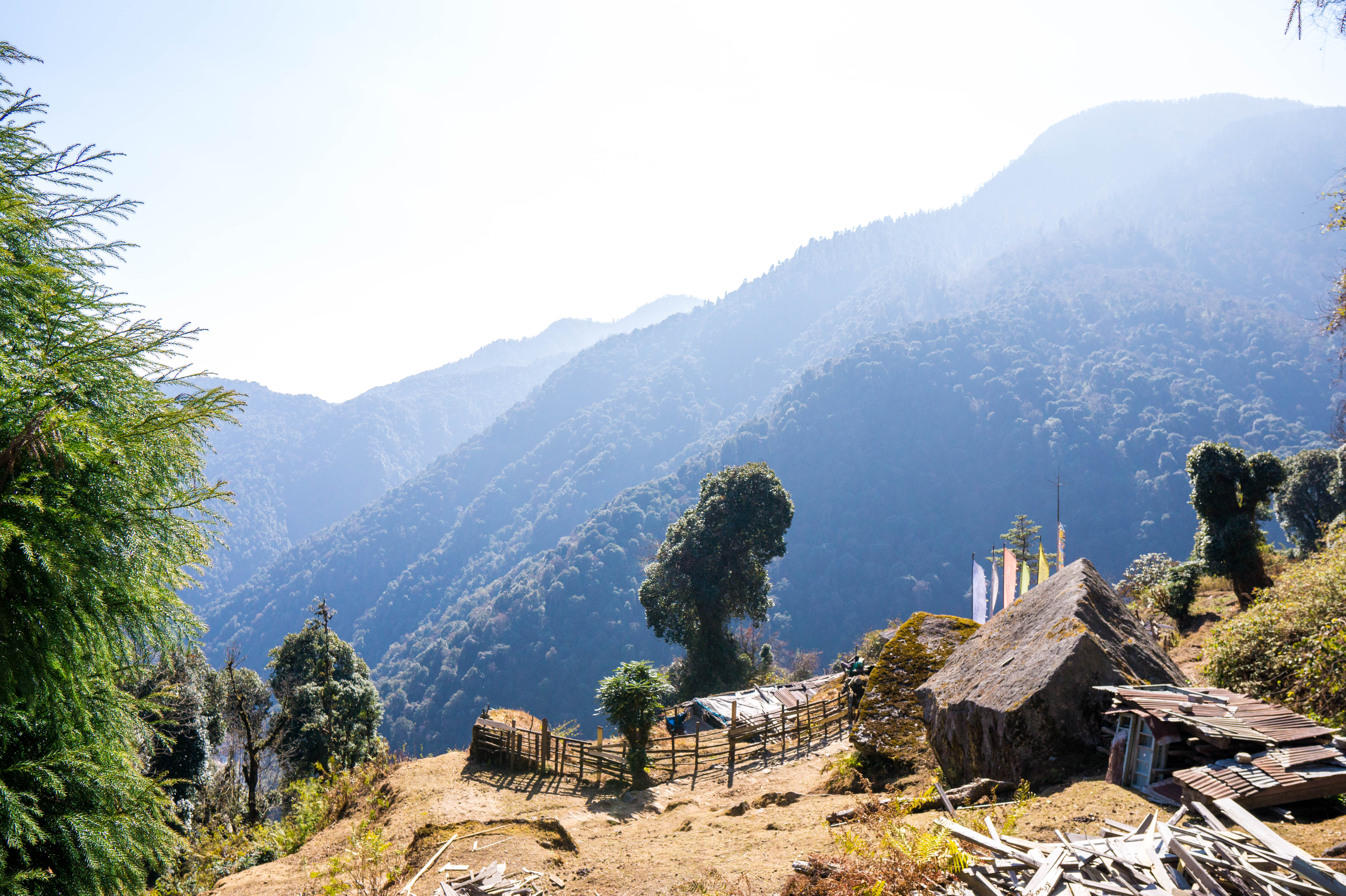 Highlights Of The Goechala Trek
