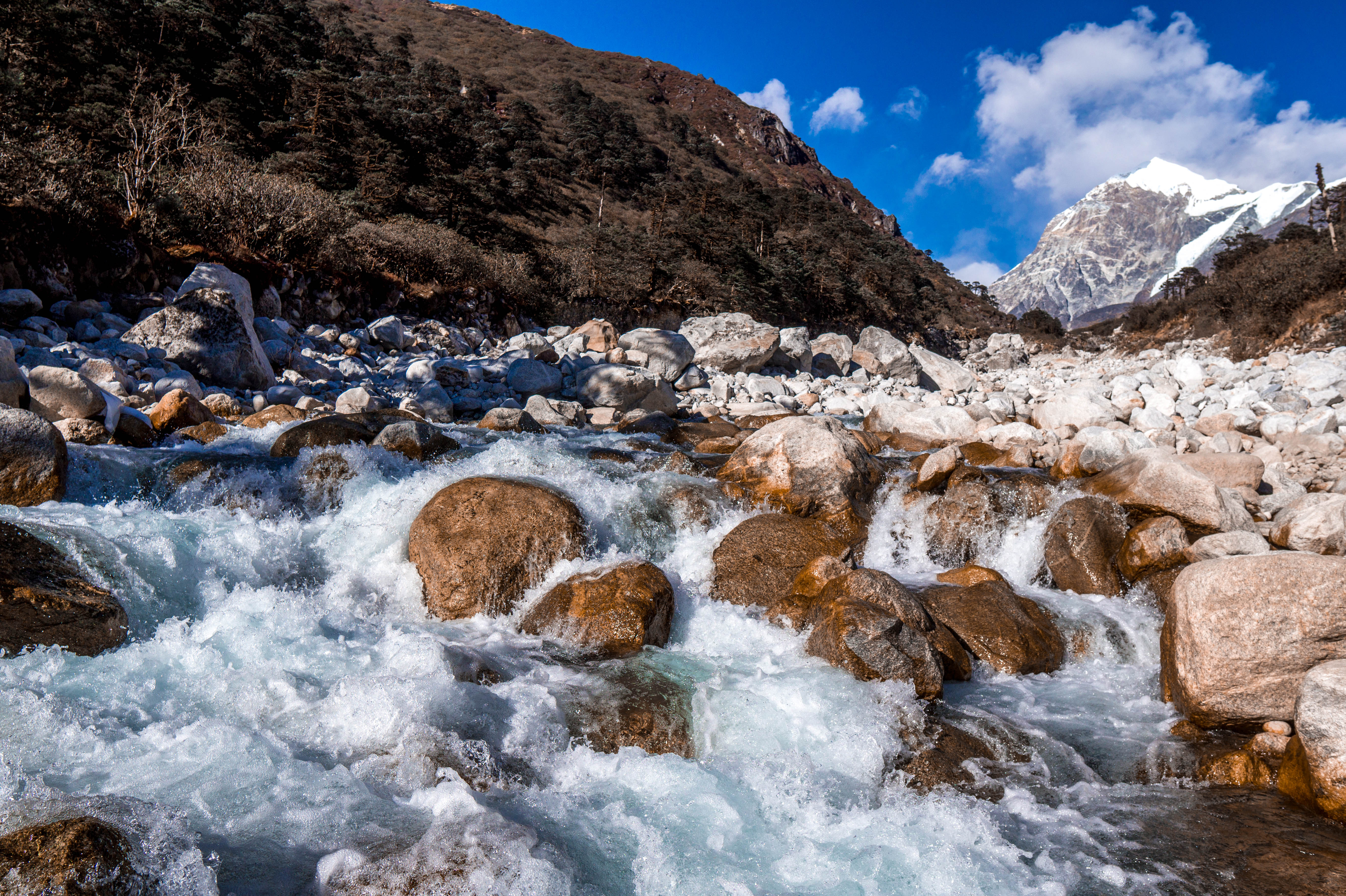 Highlights Of The Goechala Trek