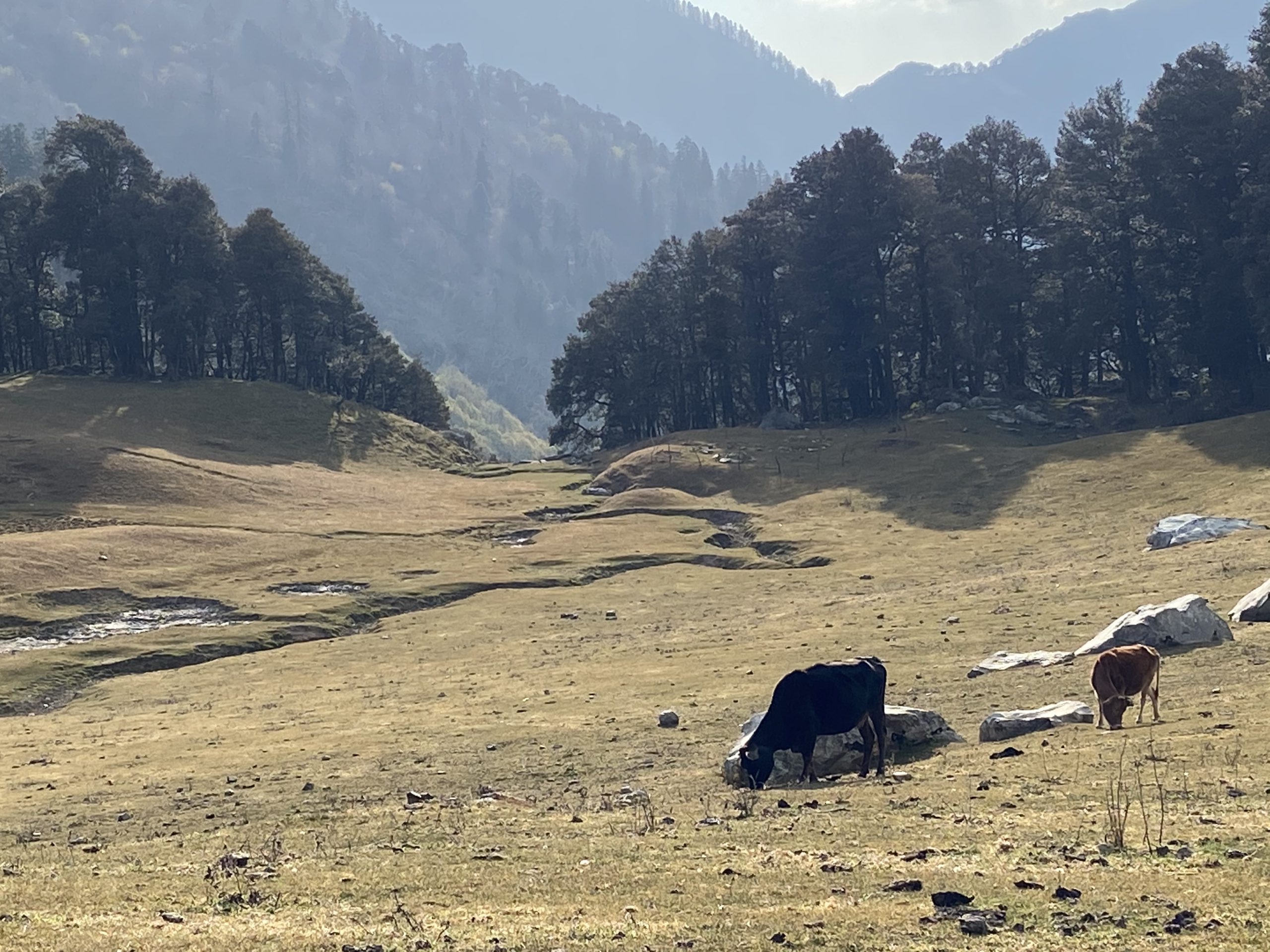 Reasons Beas Kund Trek Is So Popular & A List of Alternatives to Choose From  