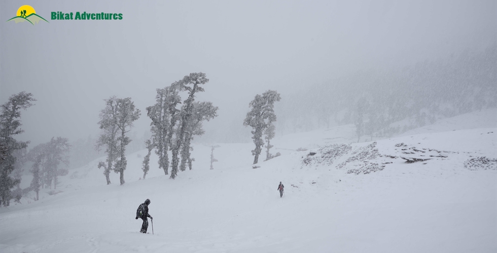 Reasons Beas Kund Trek Is So Popular & A List of Alternatives to Choose From  