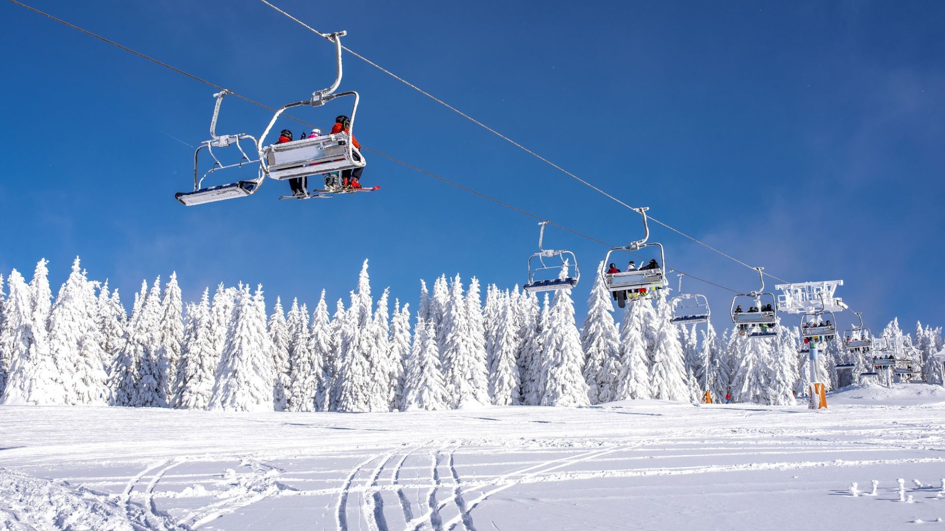 skiers on gandola 