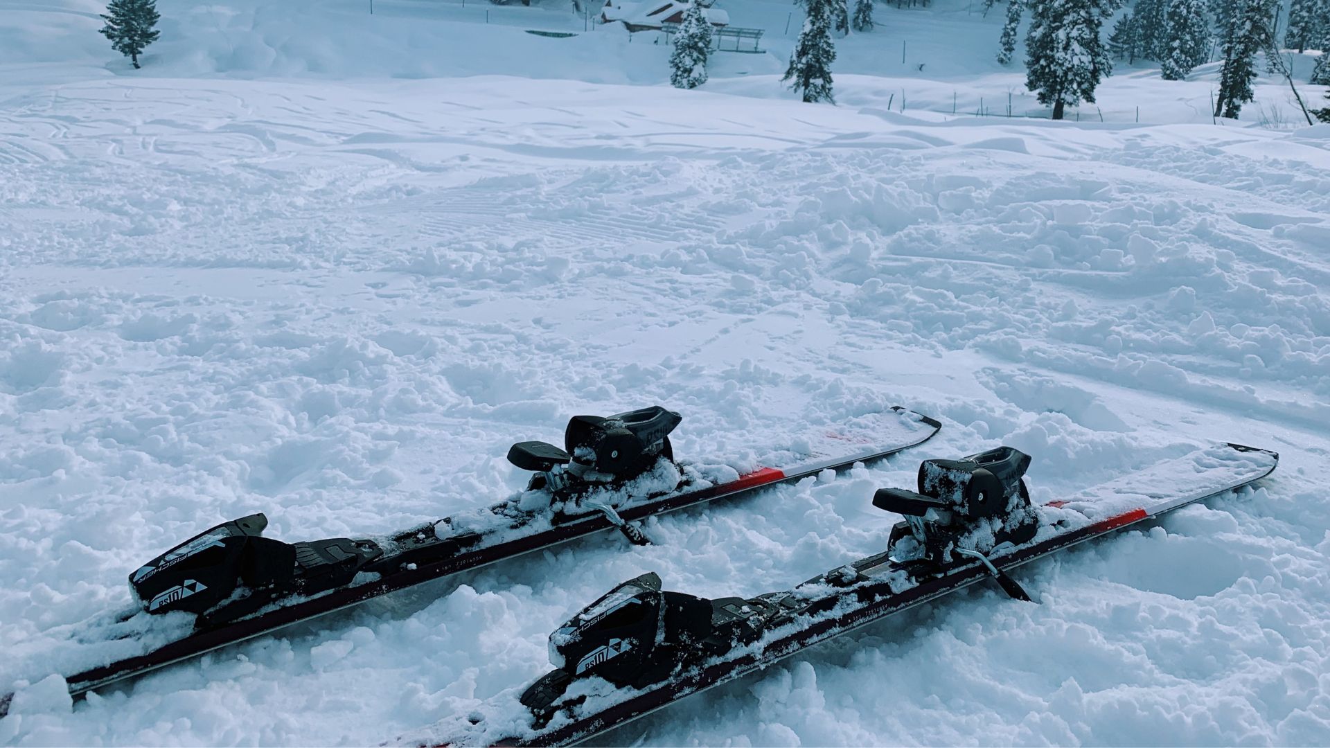 skiing 