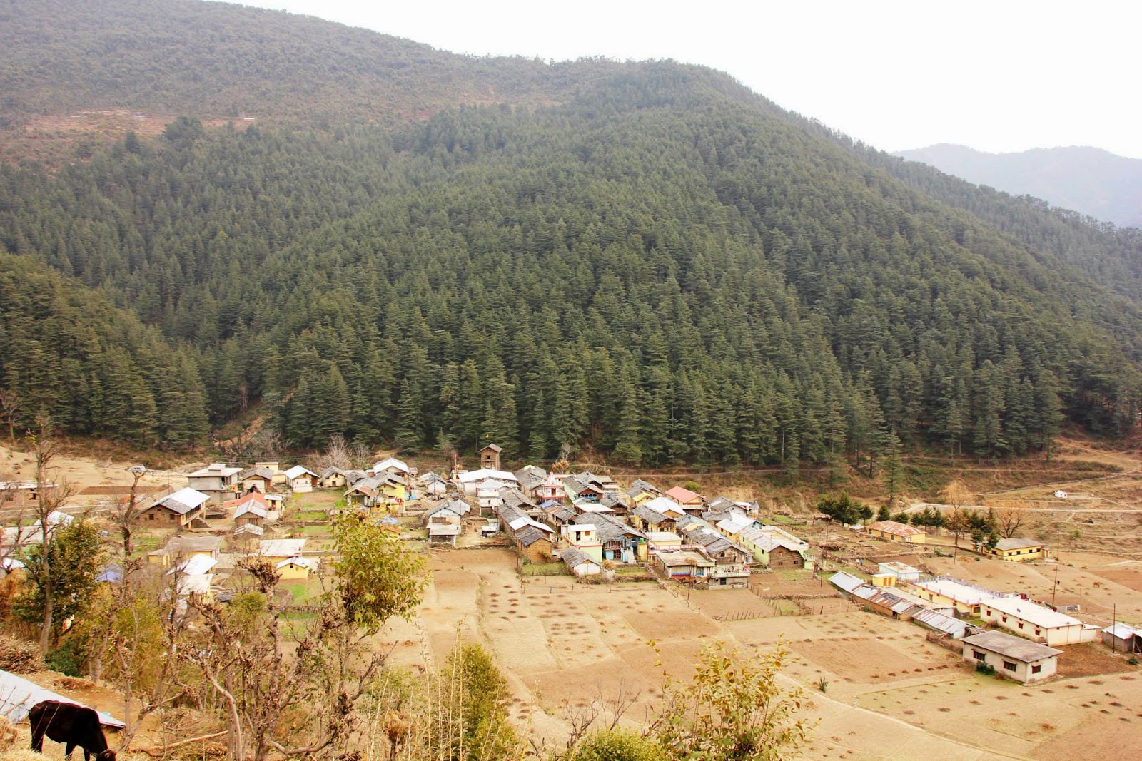Nagtibba was a bit strange this time !
