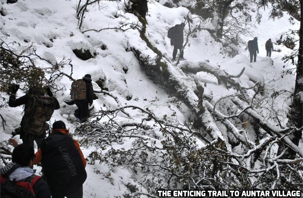 Why Nag Tibba Trek Should Be Done In 3 Days
