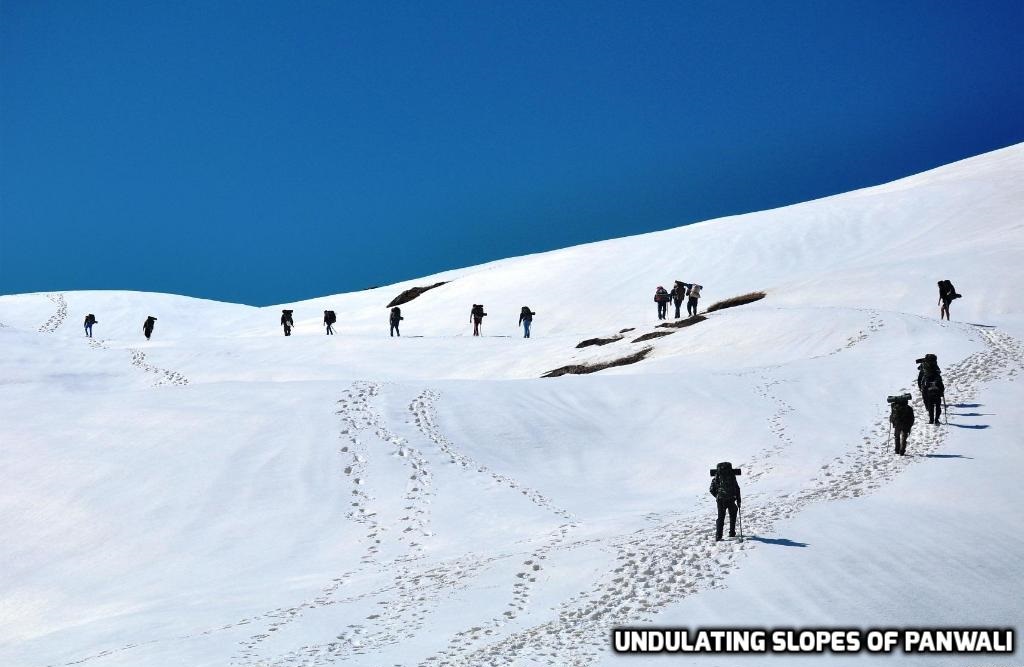 Why Panwali Kantha Is A Great Late Winter Trek