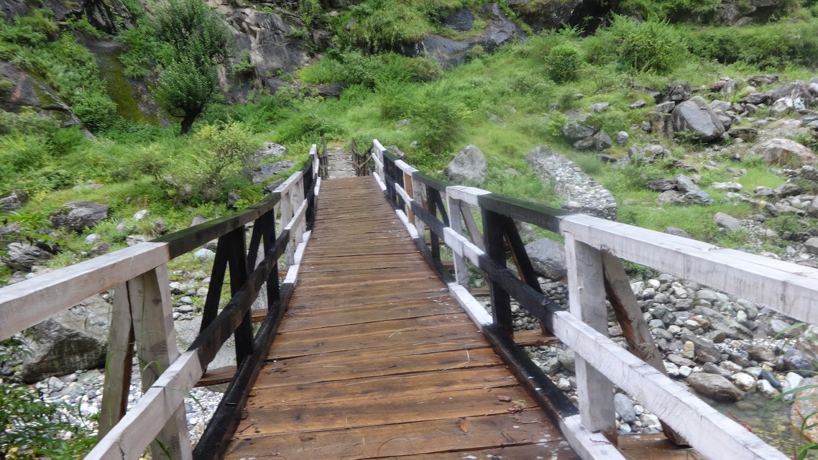 Laws of the Jungle : A Weekend Trek to Tirthan Valley