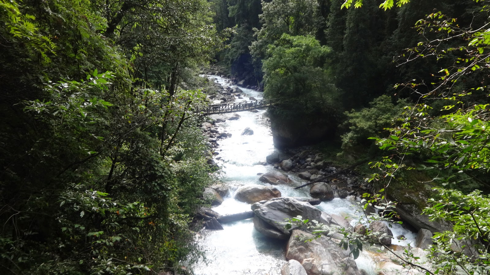 Laws of the Jungle : A Weekend Trek to Tirthan Valley