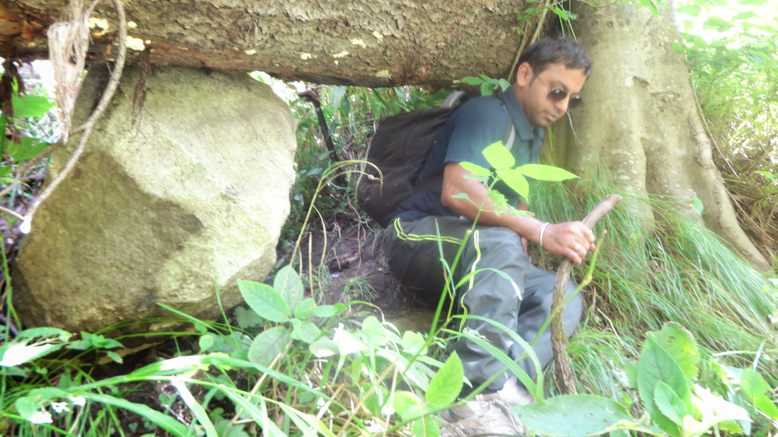Laws of the Jungle : A Weekend Trek to Tirthan Valley