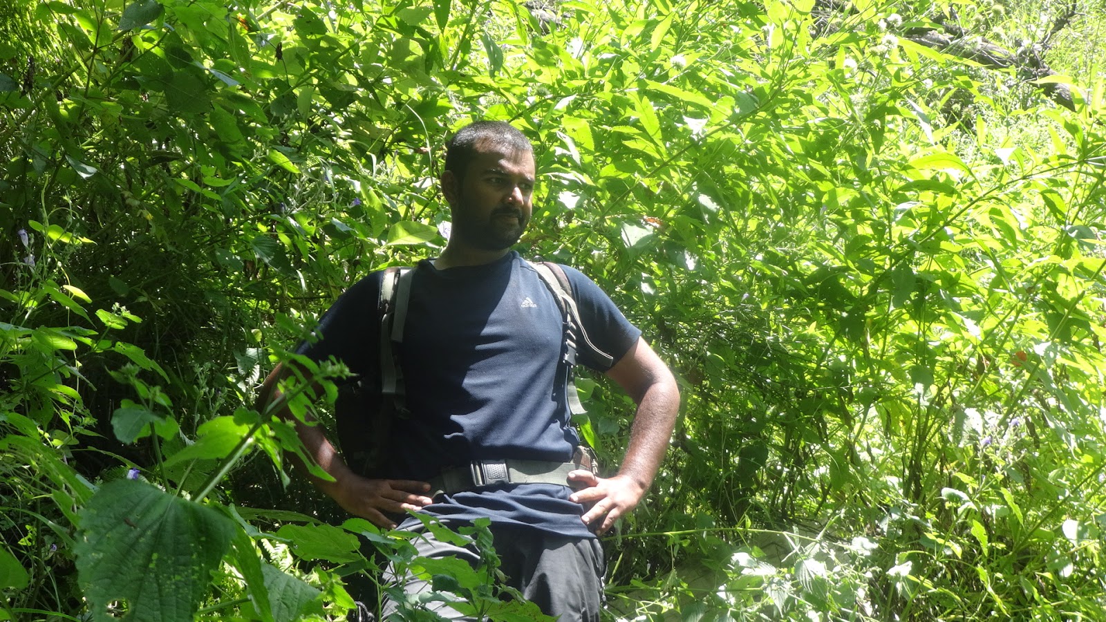 Laws of the Jungle : A Weekend Trek to Tirthan Valley