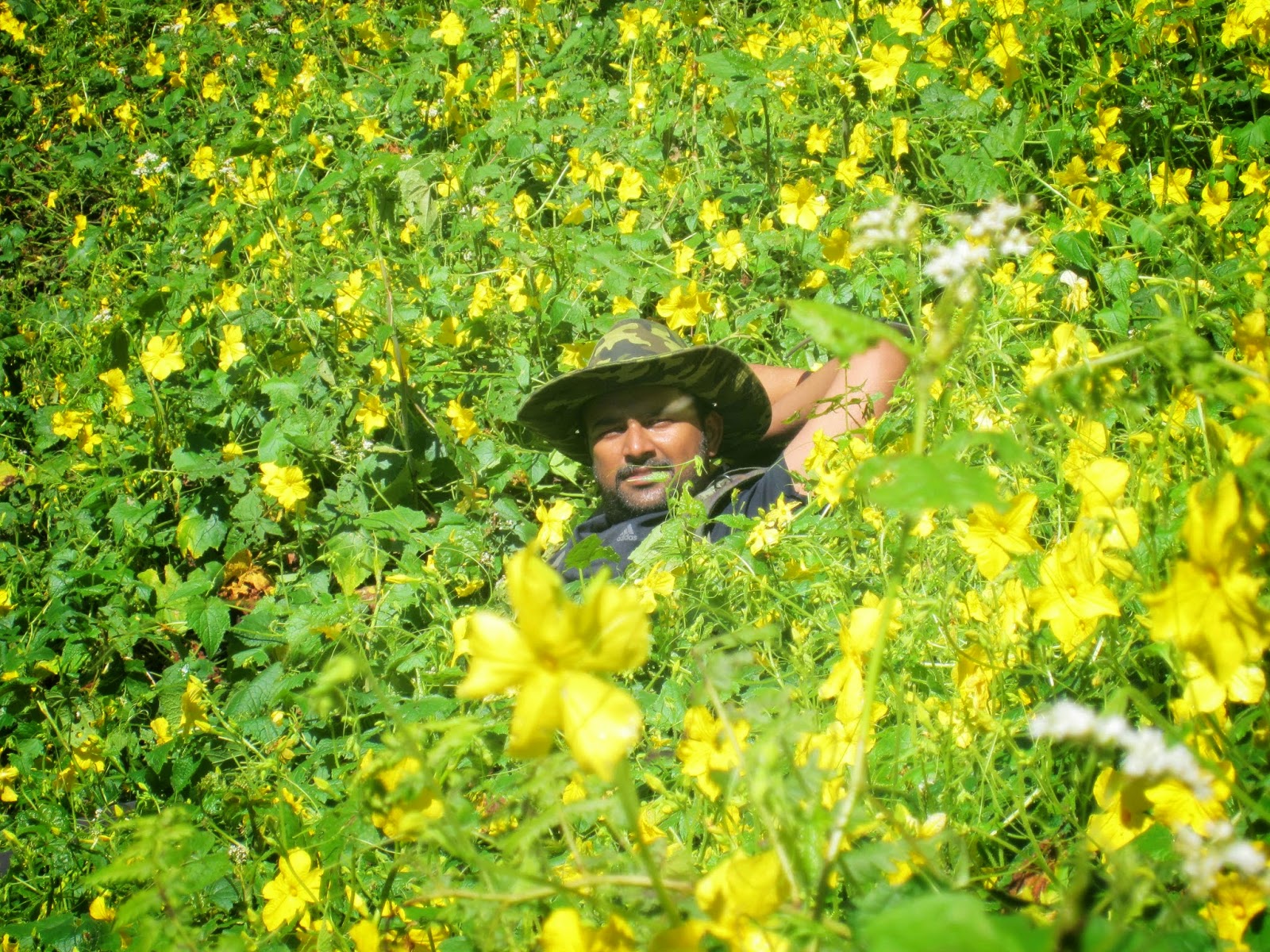 Laws of the Jungle : A Weekend Trek to Tirthan Valley