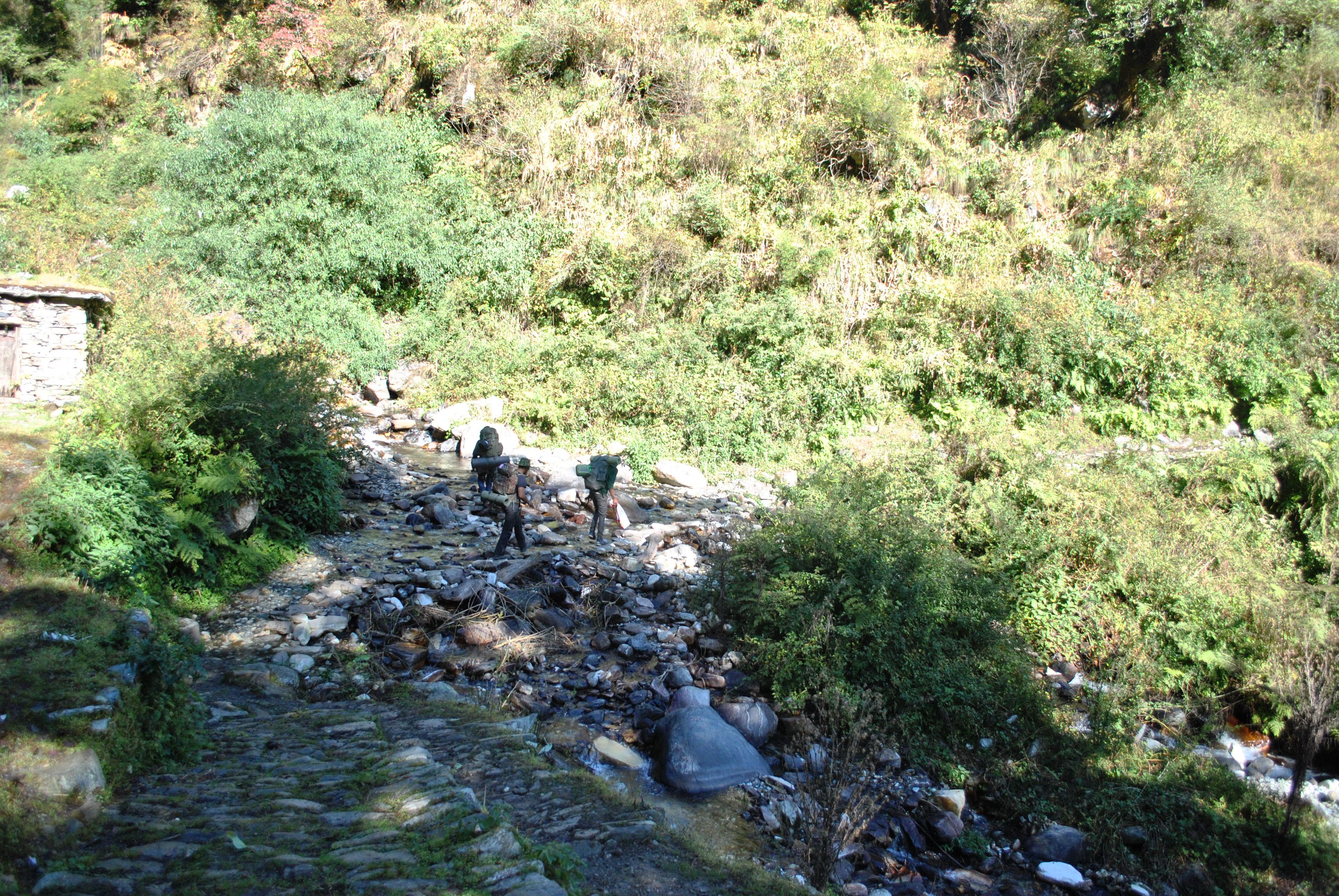Days Of Solitude, A Could Have Been Bear & The Mystery Lake - Roopkund Trek !