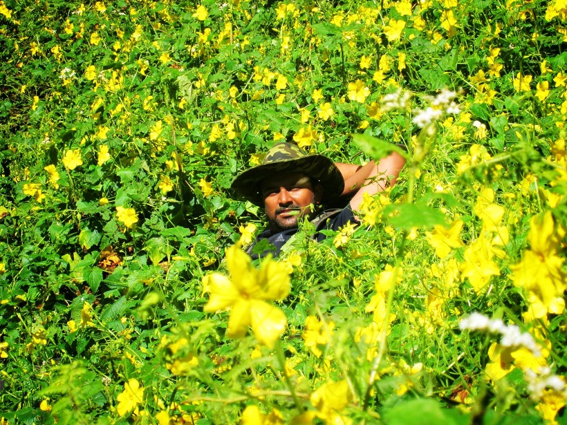 3 Days In The Wilderness -Tirthan Valley Trek