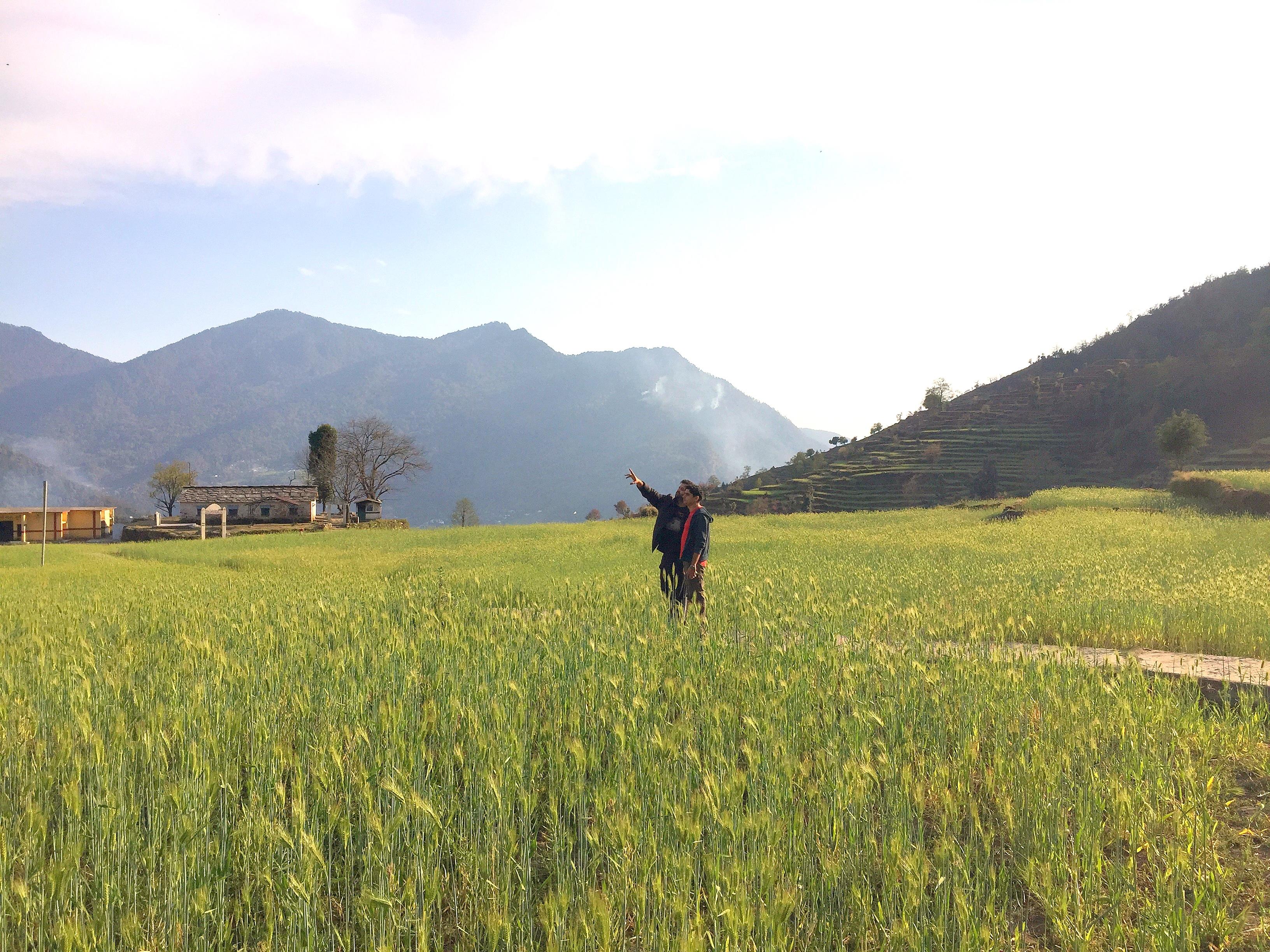 Deoria Tal - Chandrashila Trek 2016