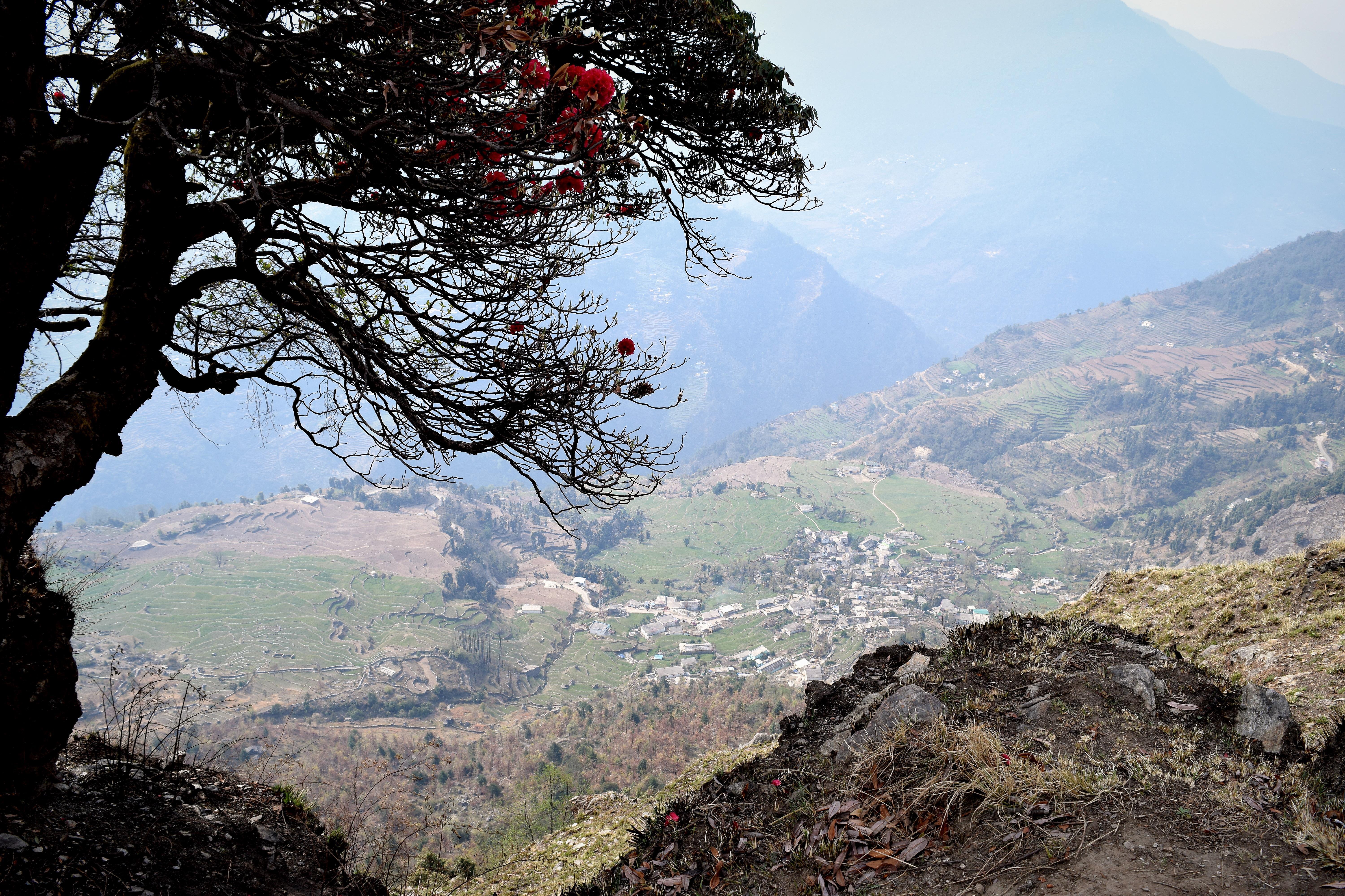 Deoria Tal - Chandrashila Trek 2016