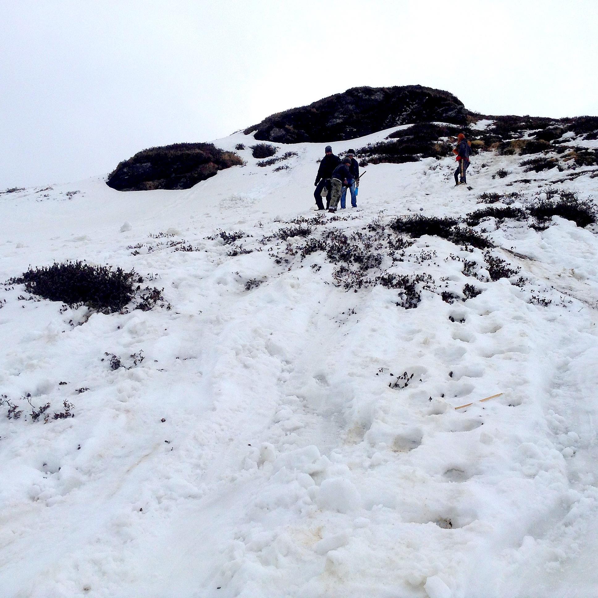 Deoria Tal - Chandrashila Trek 2016