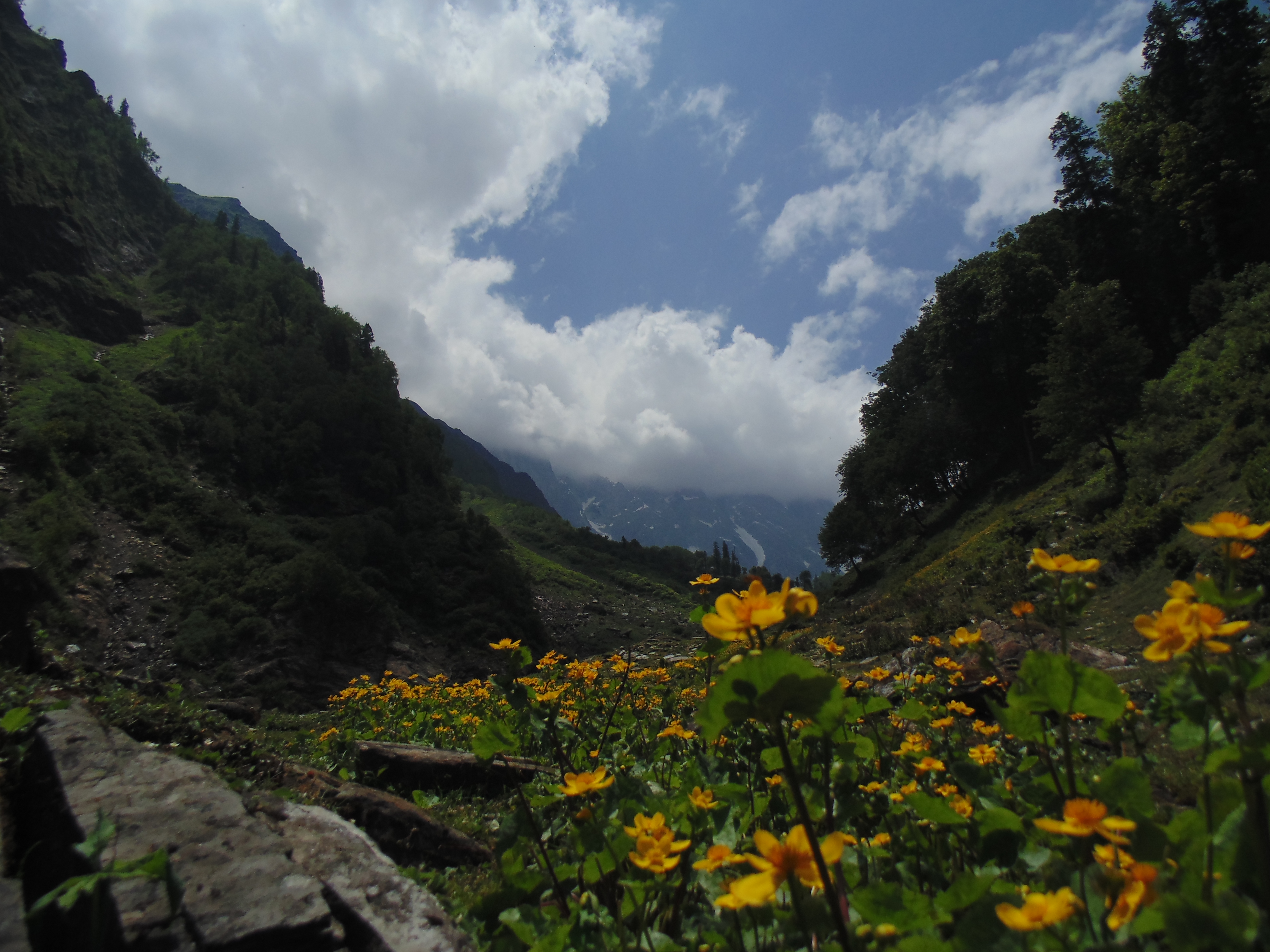 Mother nature has treasure, but you gotta reach there to unveil it.