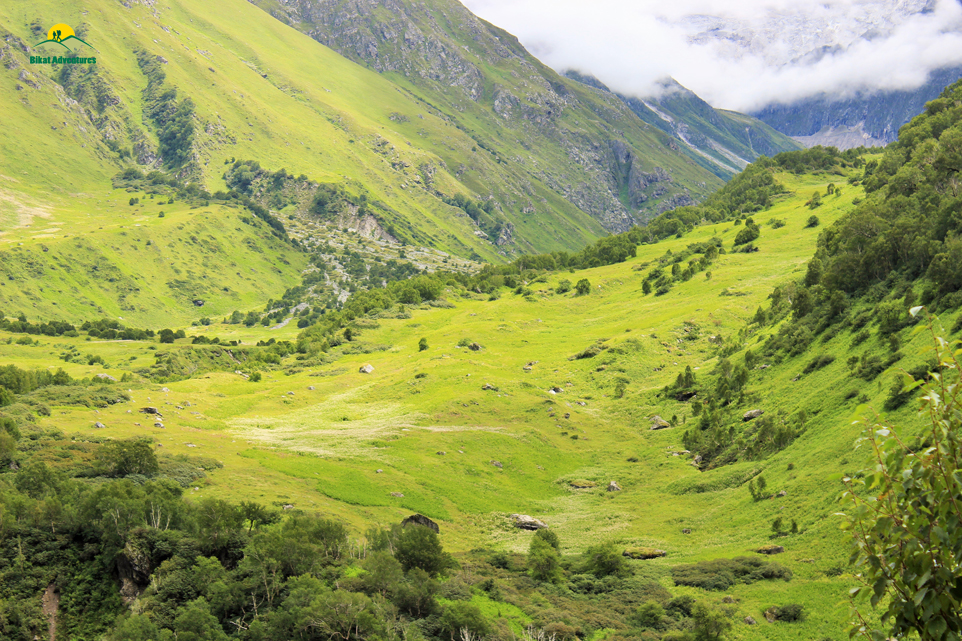 Valley of Flowers – The trip that was not supposed to happen!
