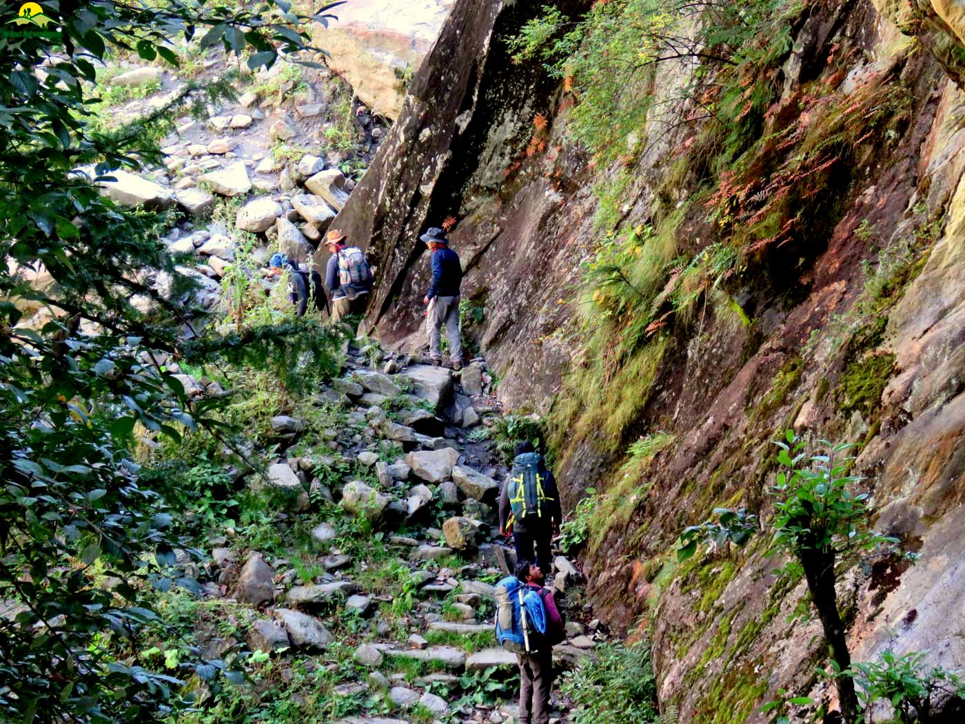 Bali Pass Trek - A Virgin Trek in the Uttarakhand Himalayas