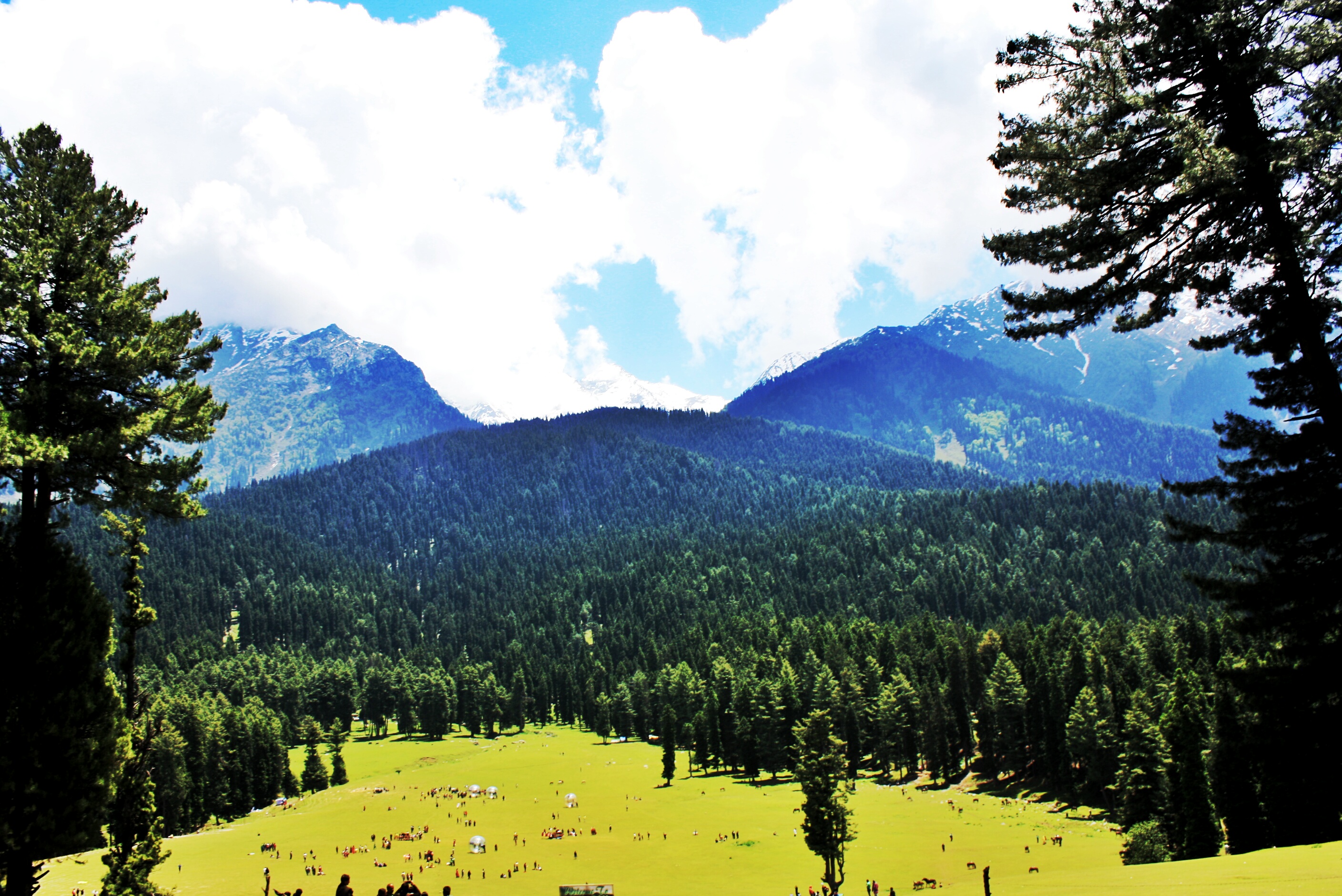 Tulian valley - first phase of pahalgham to leh (kashmir)
