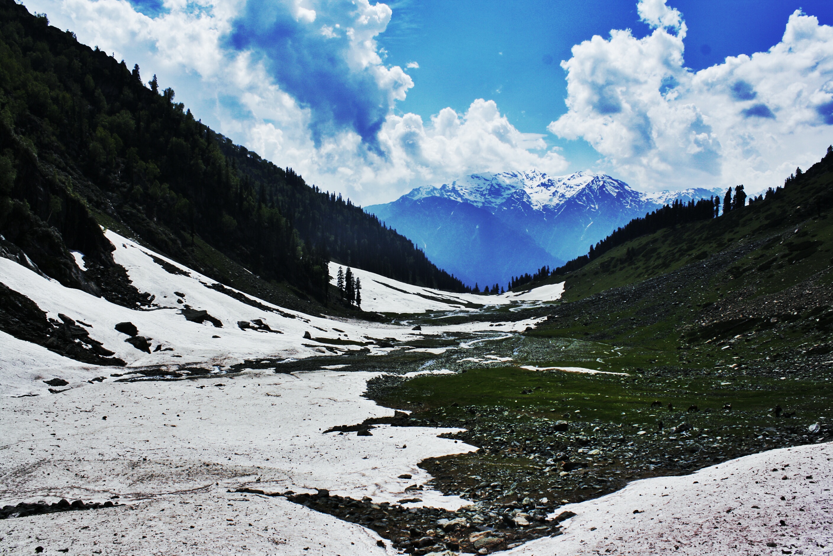 Tulian valley - first phase of pahalgham to leh (kashmir)