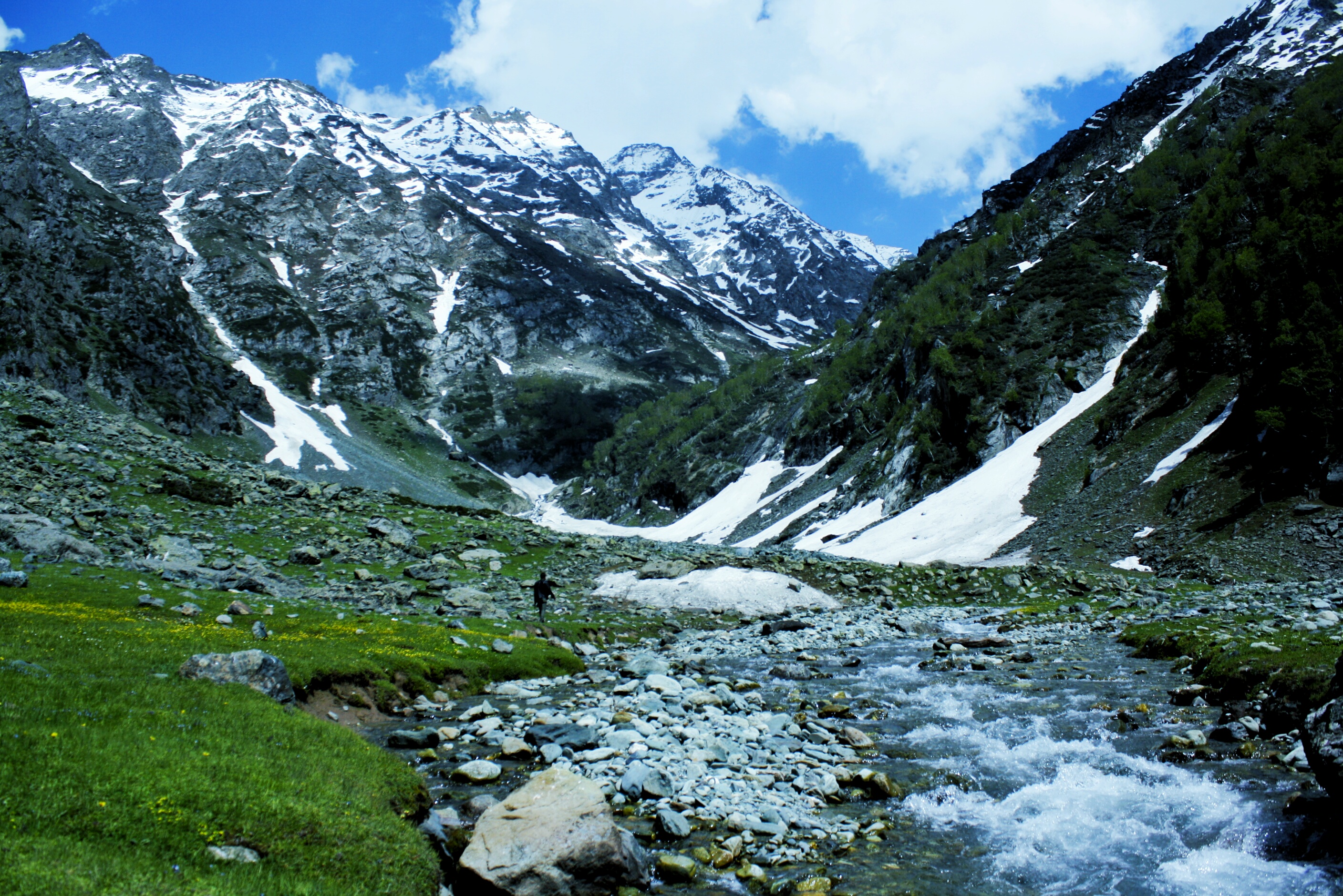 Tulian valley - first phase of pahalgham to leh (kashmir)