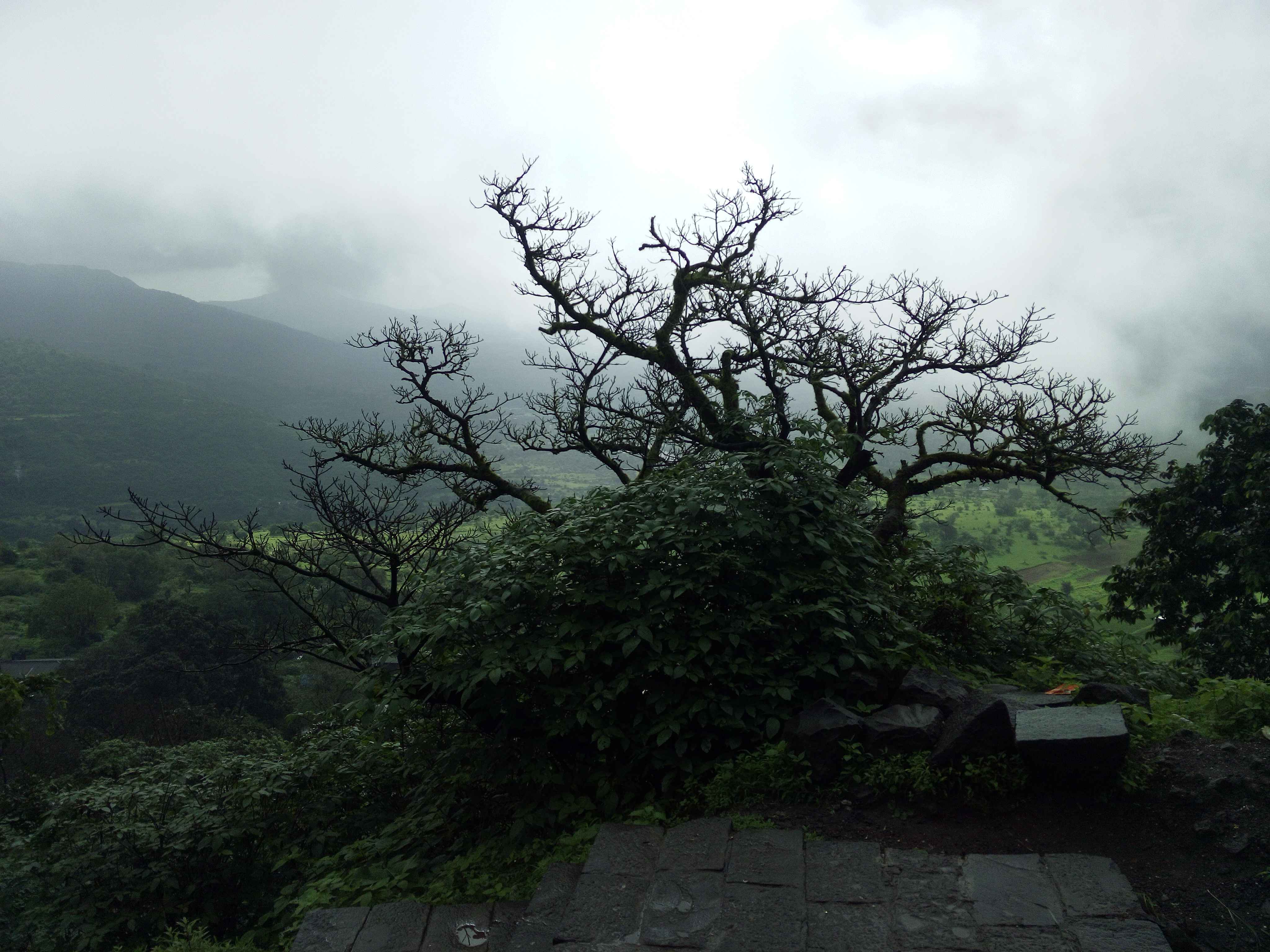 Trek To Lohagadh (The Iron Fort)