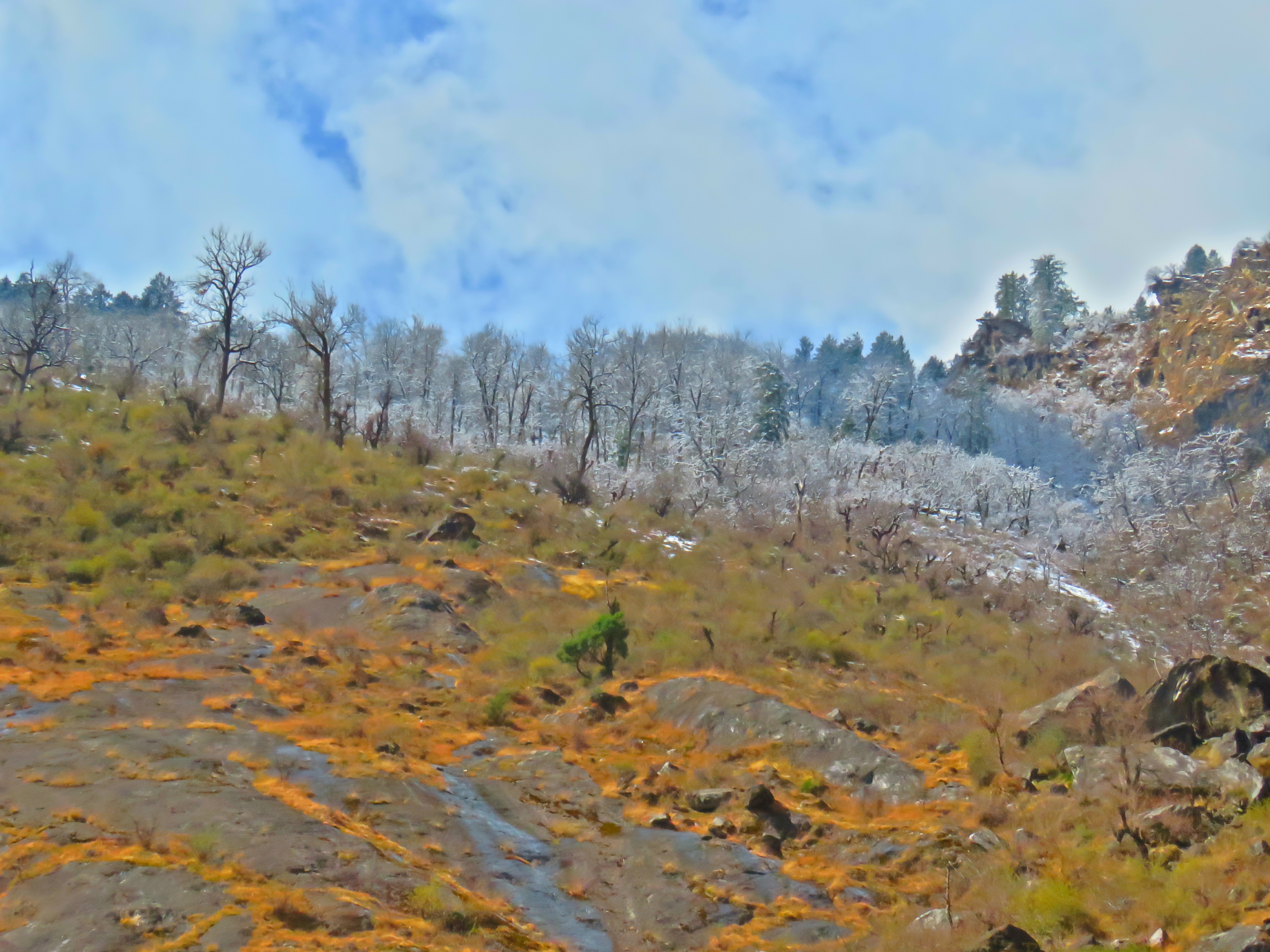 Joshimath - The Gateway to Heaven