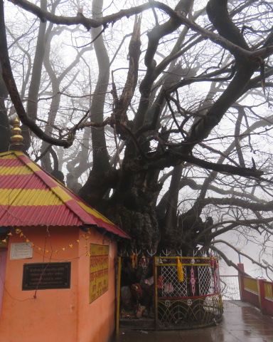 Joshimath - The Gateway to Heaven