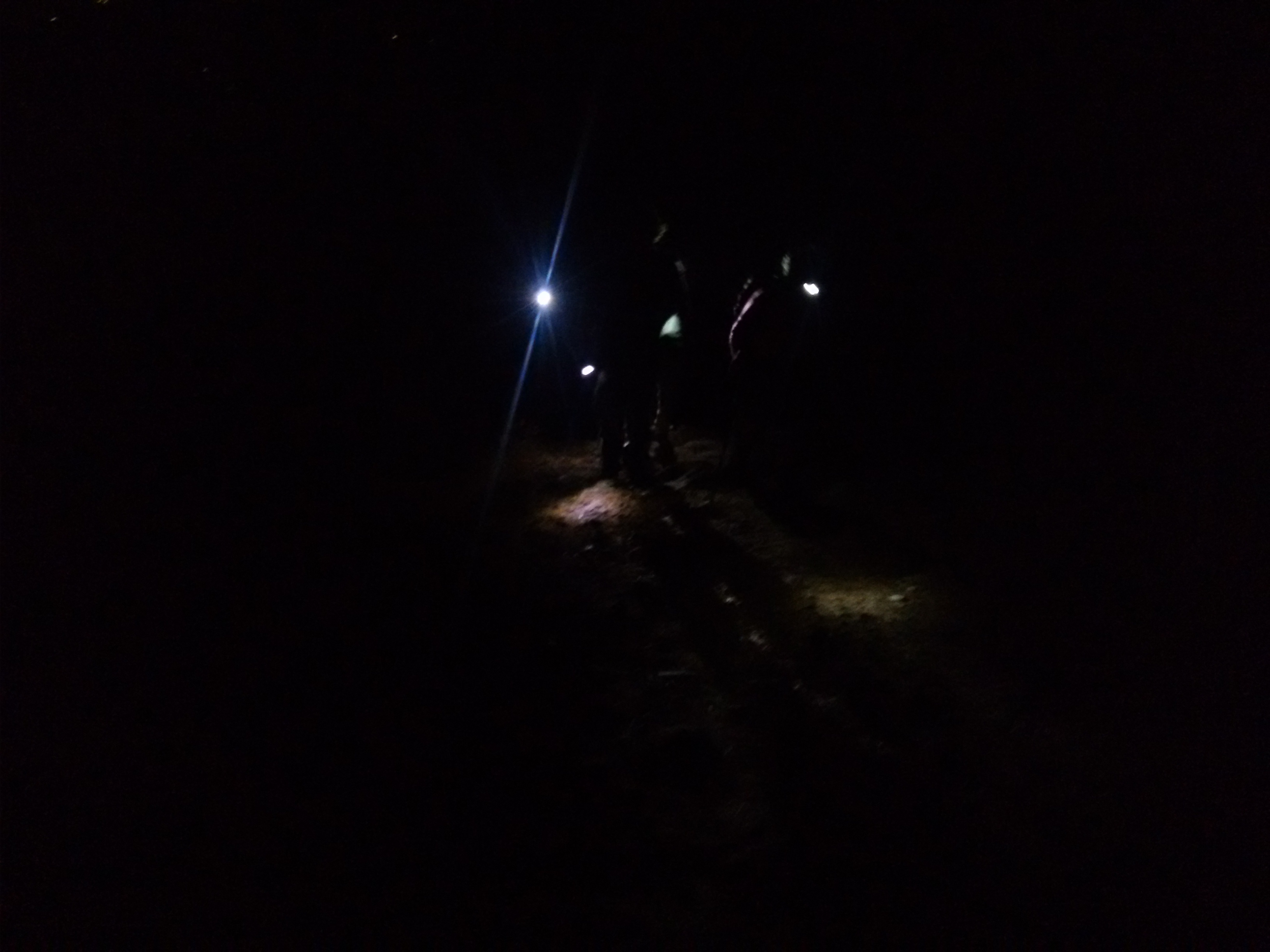 The Duke's nose...  Adventure of night... 
