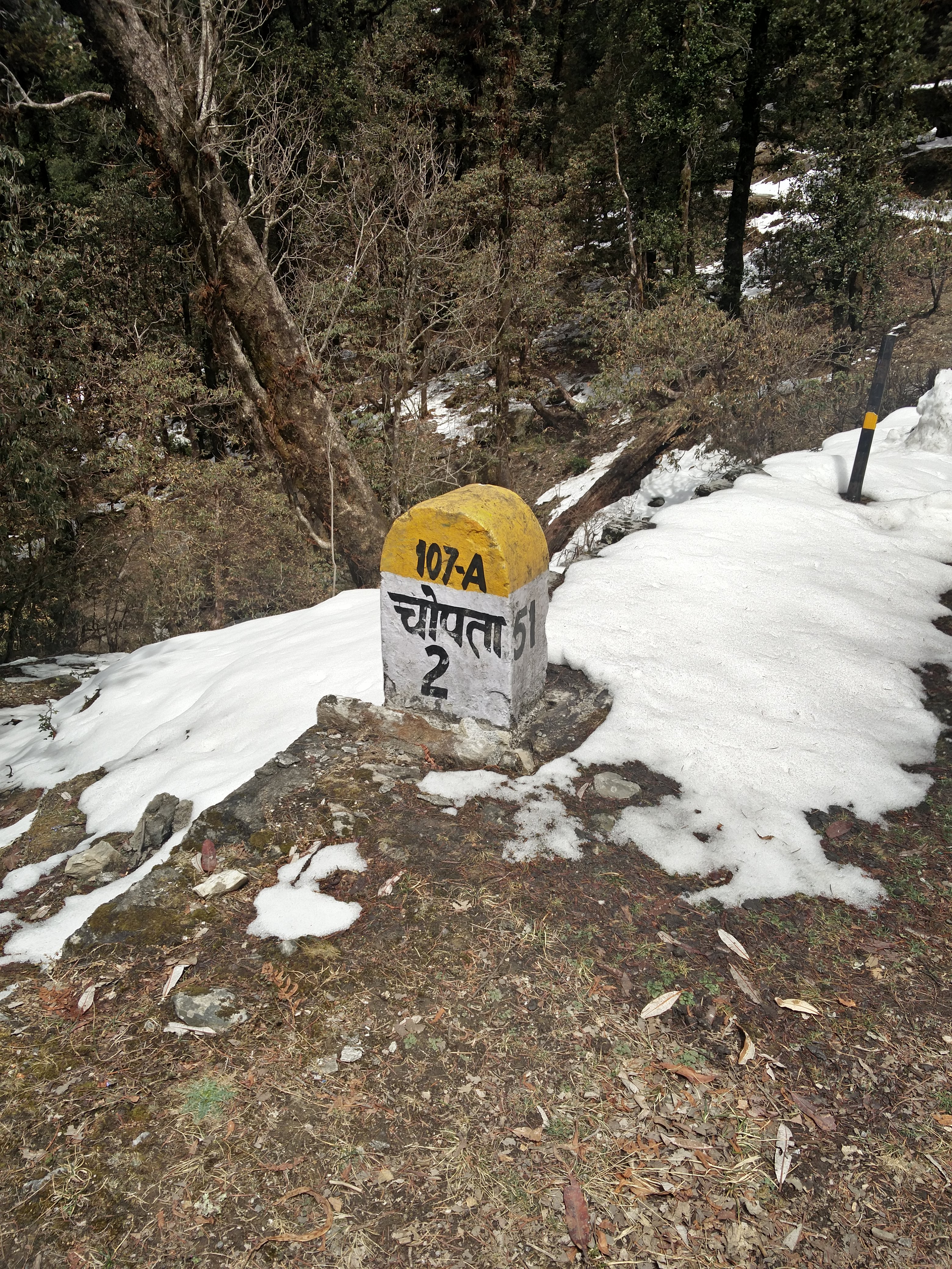 "Dheere Chalein, Prakriti Ka Anand Le!"